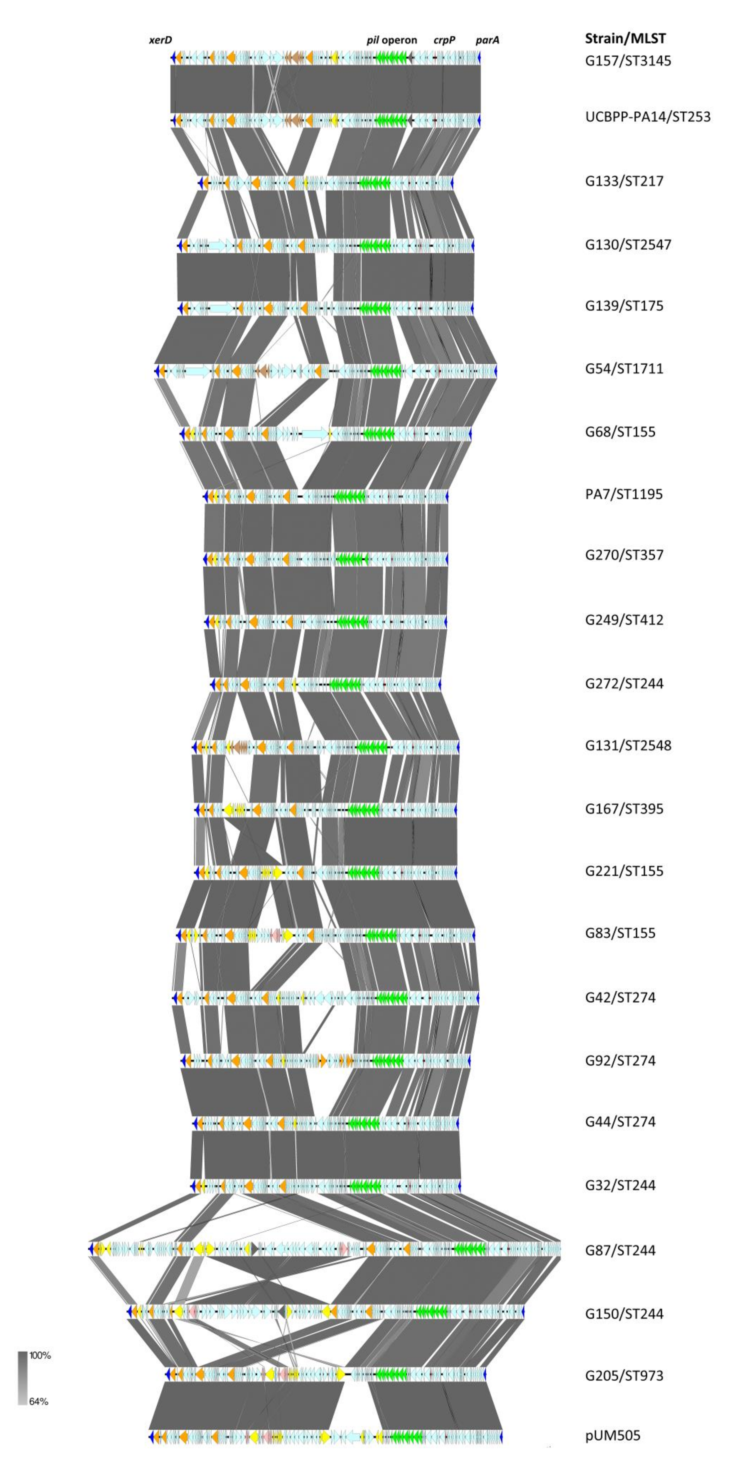 Antibiotics 11 01271 g004