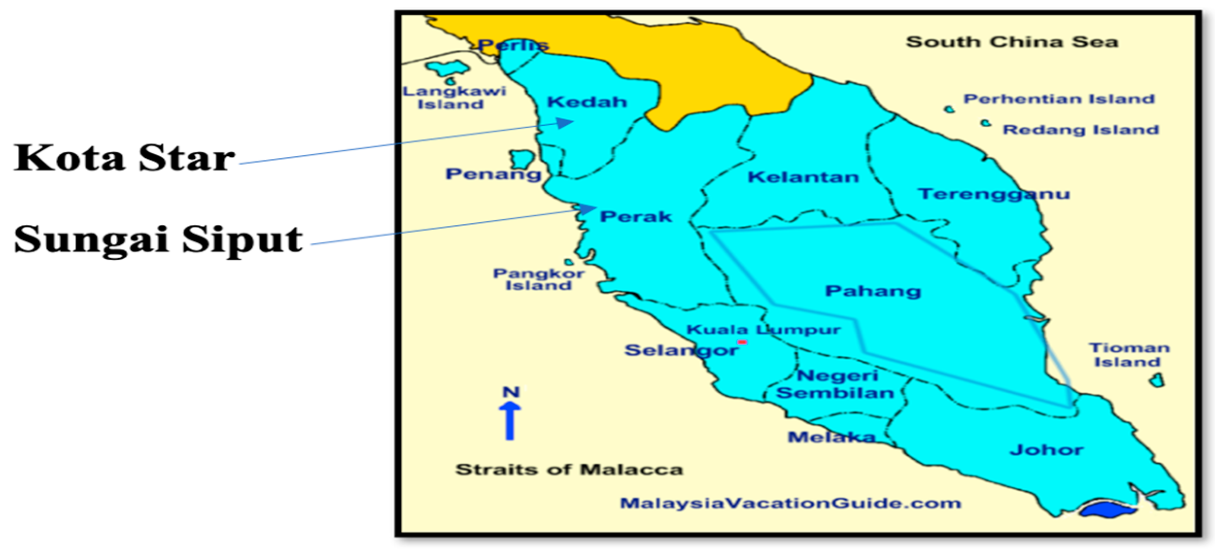Antibiotics 11 01275 g003