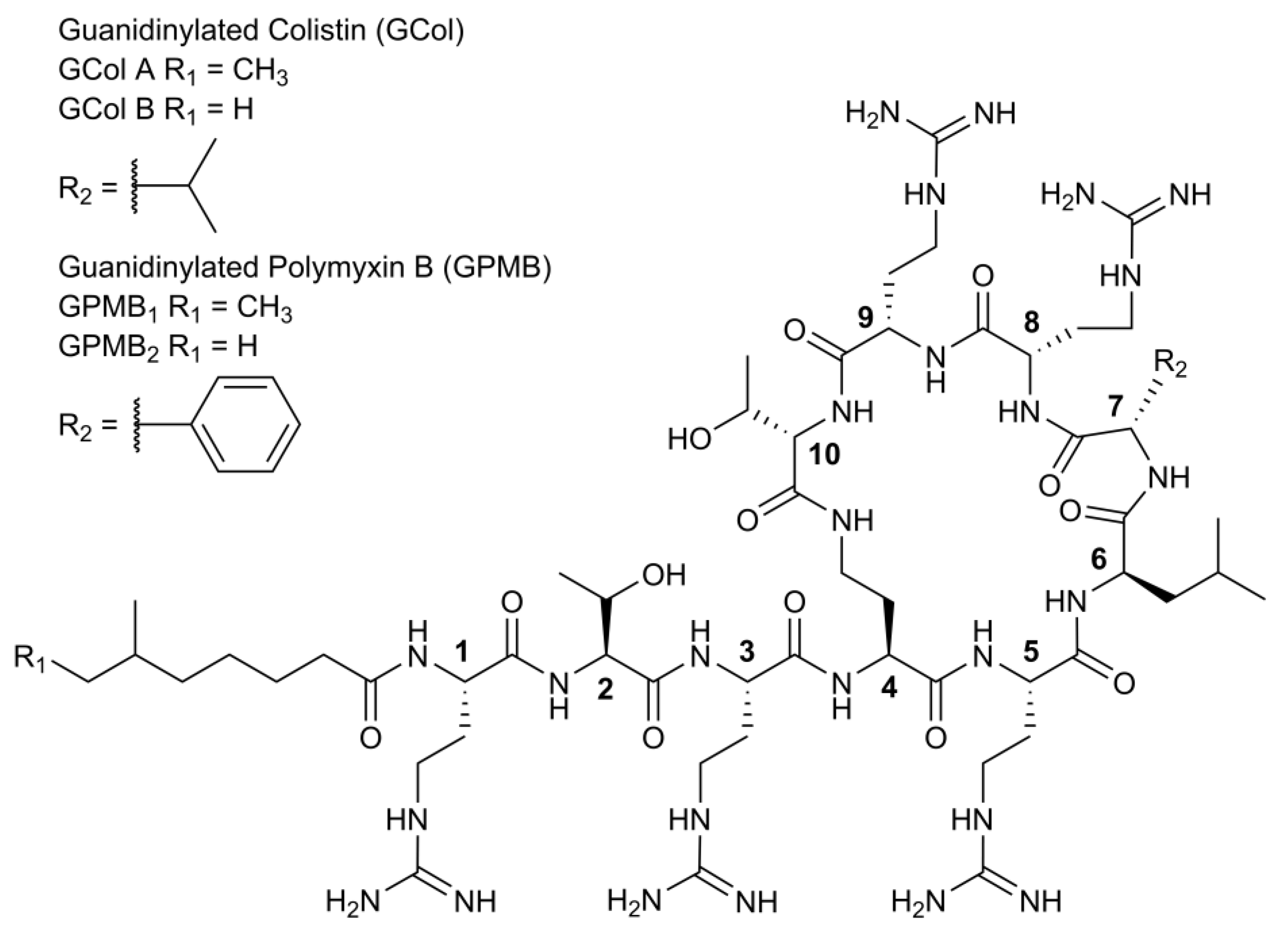 Antibiotics 11 01277 g001