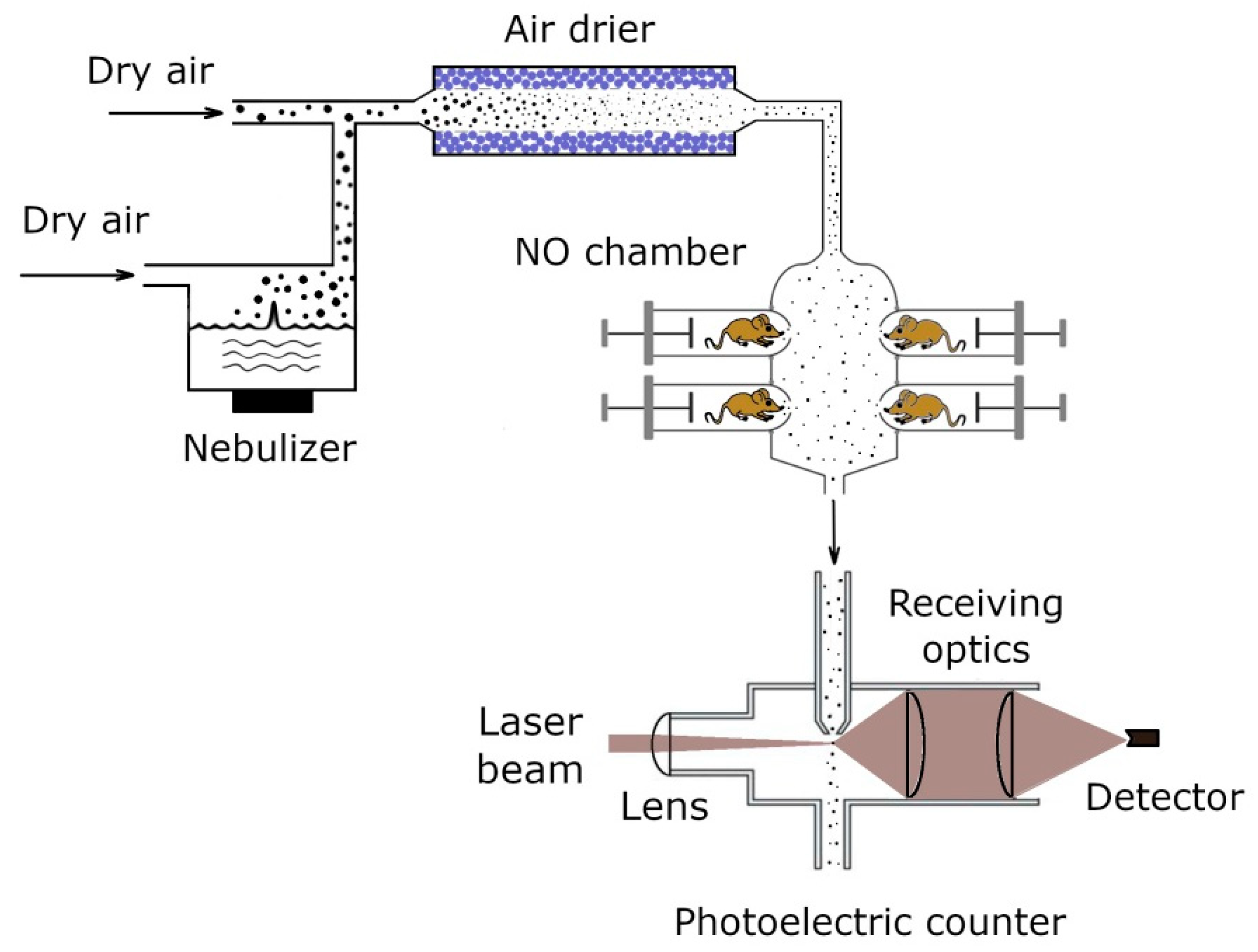 Antibiotics 11 01305 g001