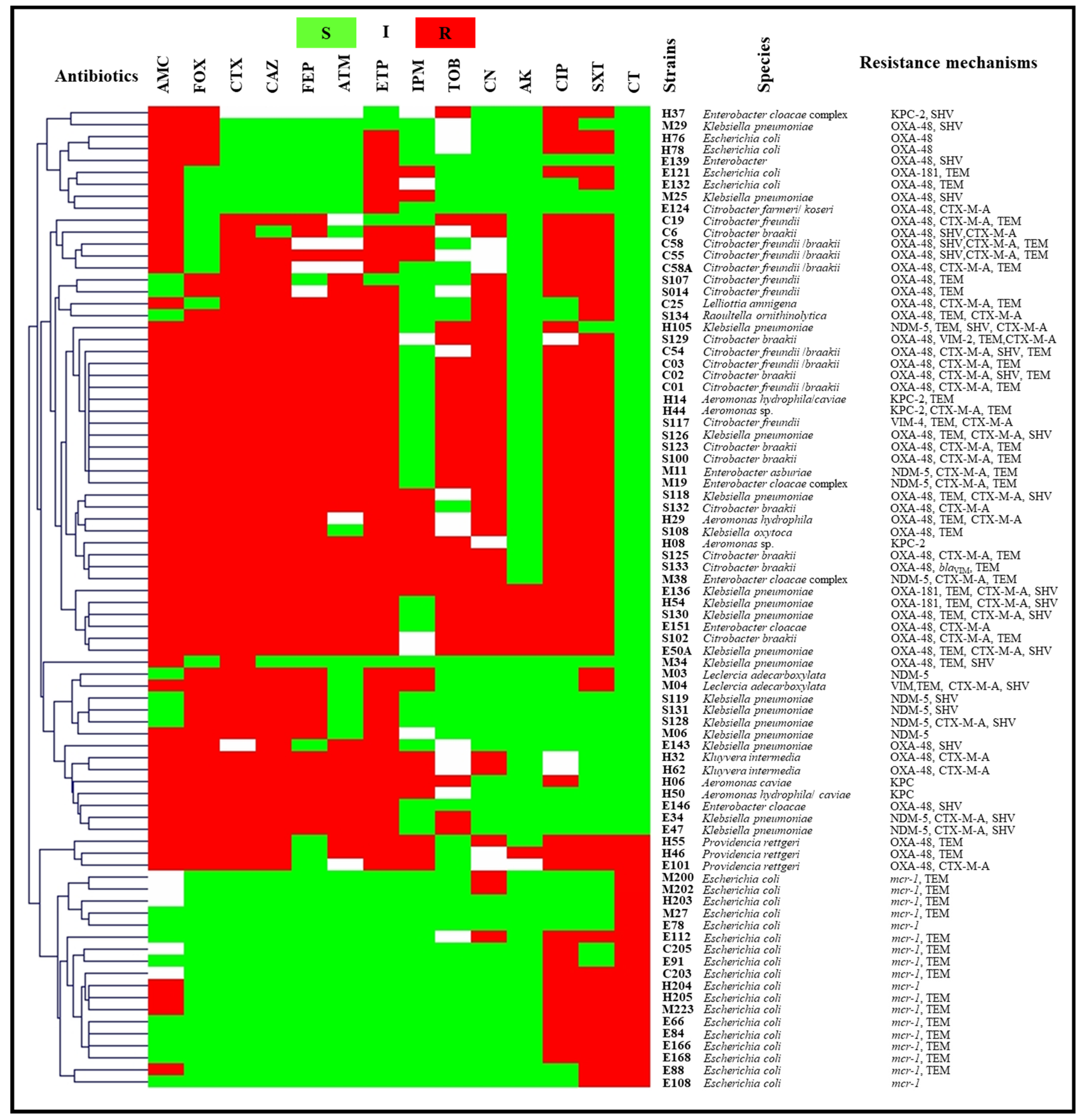 Antibiotics 11 01314 g004
