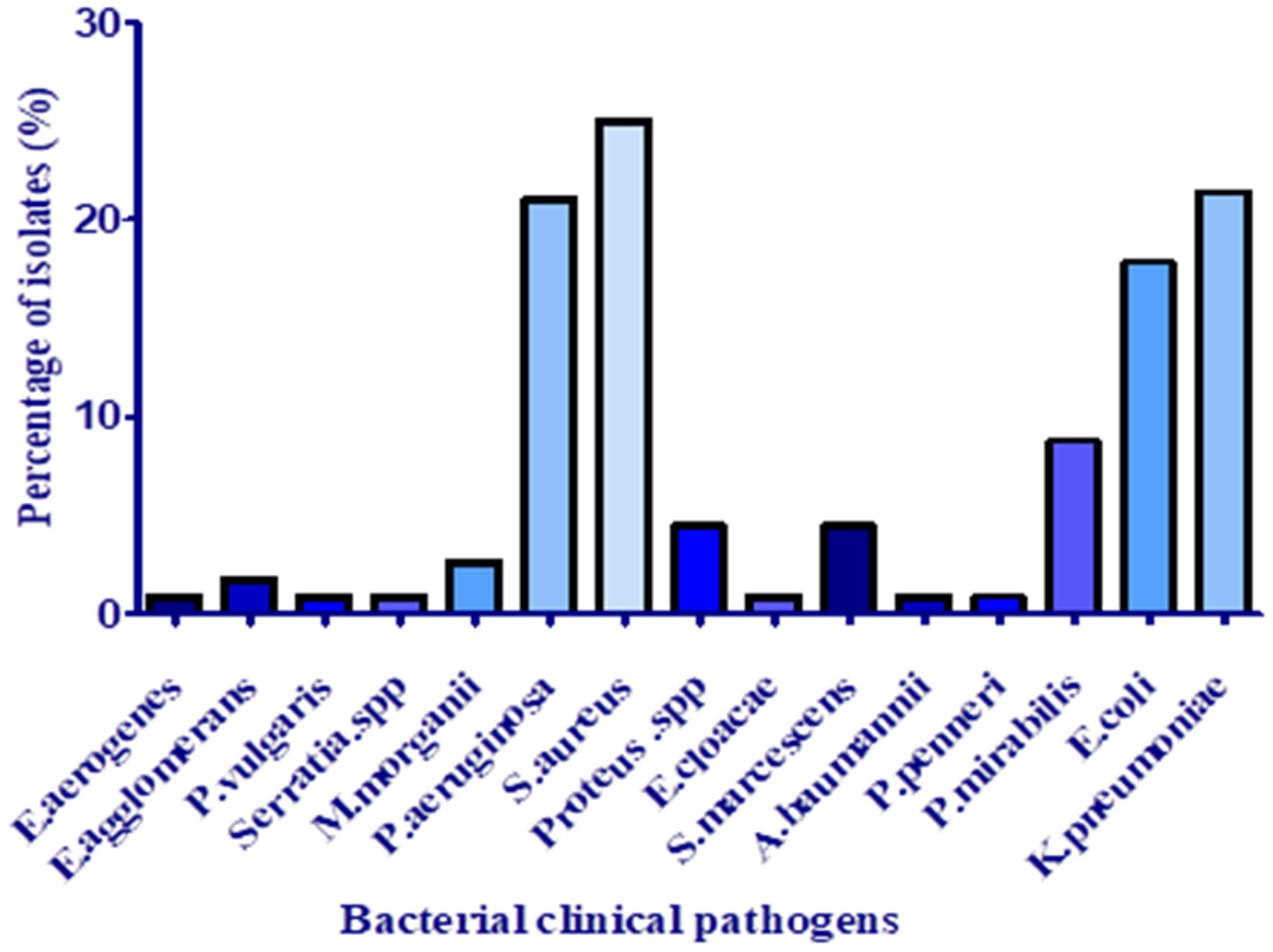 Antibiotics 11 01317 g001