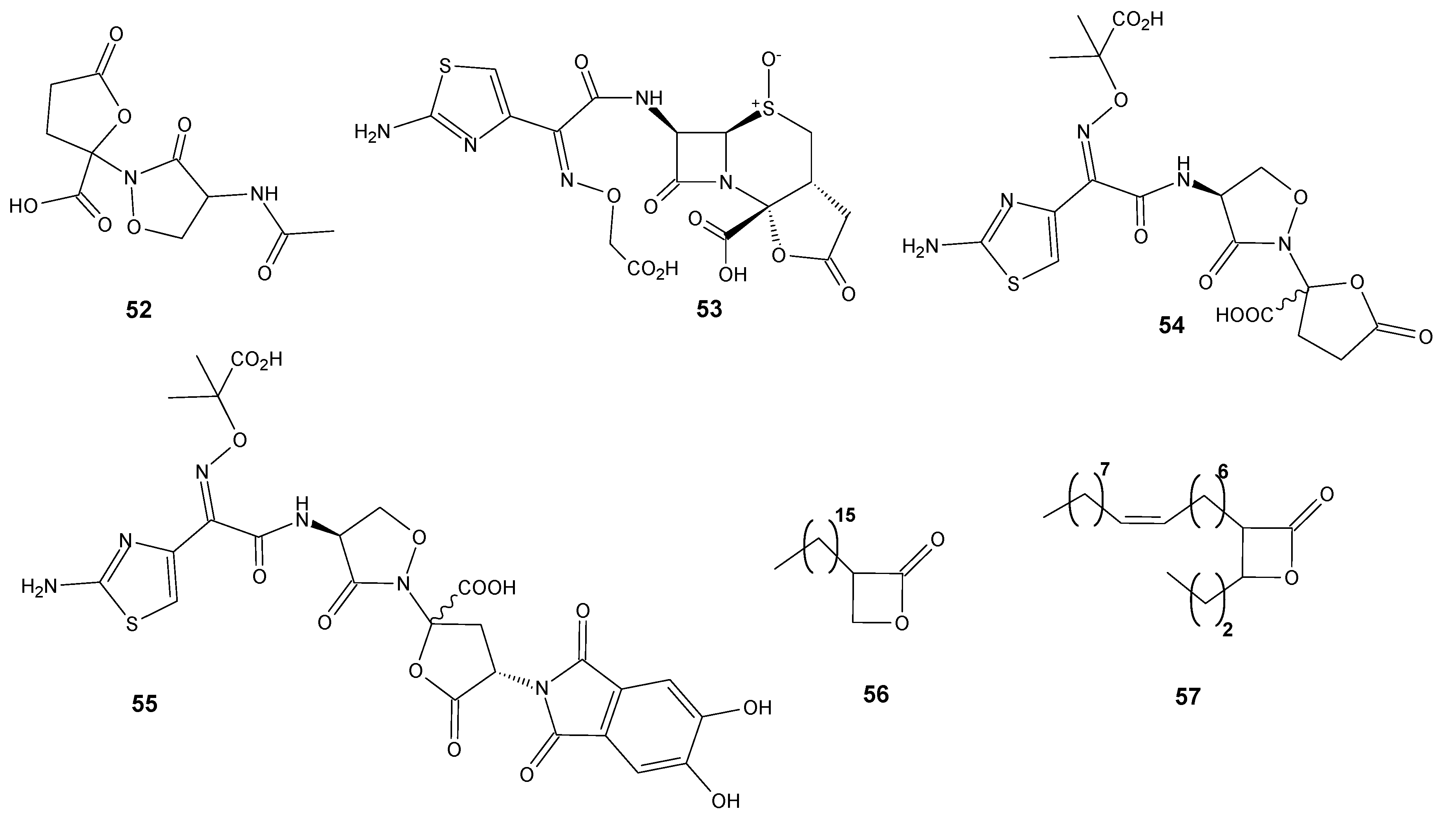 Antibiotics 11 01327 g006