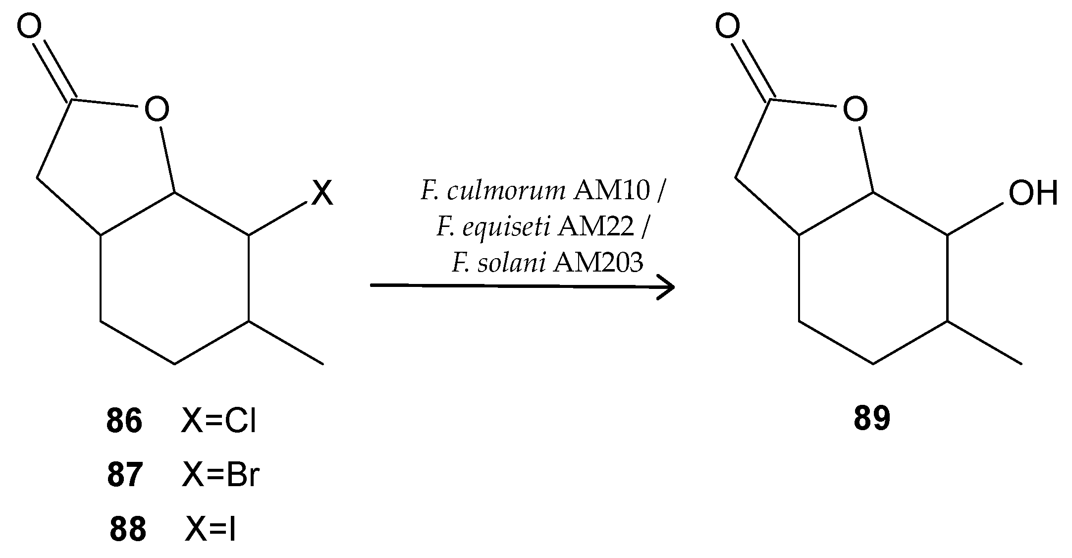 Antibiotics 11 01327 g012