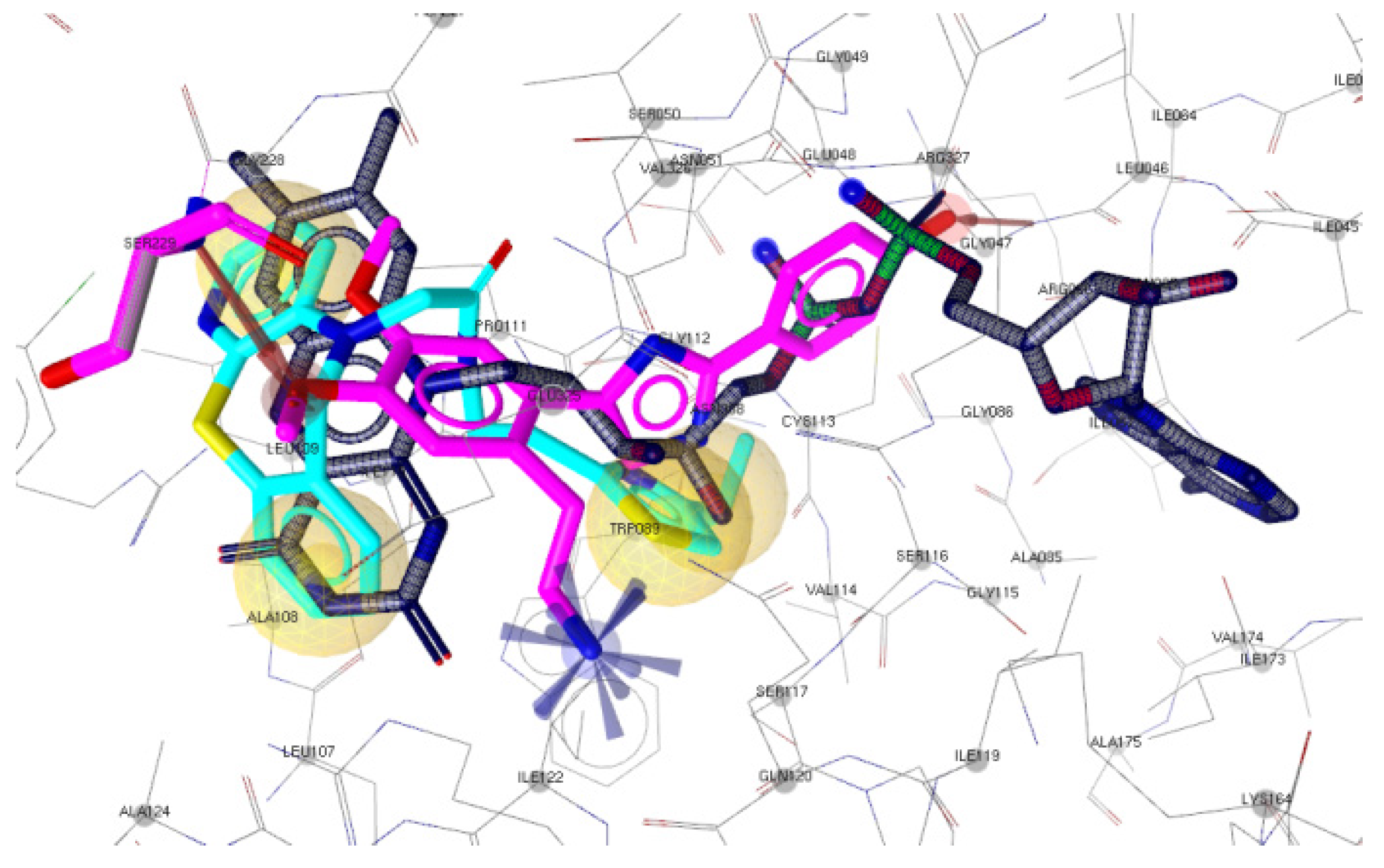 Antibiotics 11 01337 g004