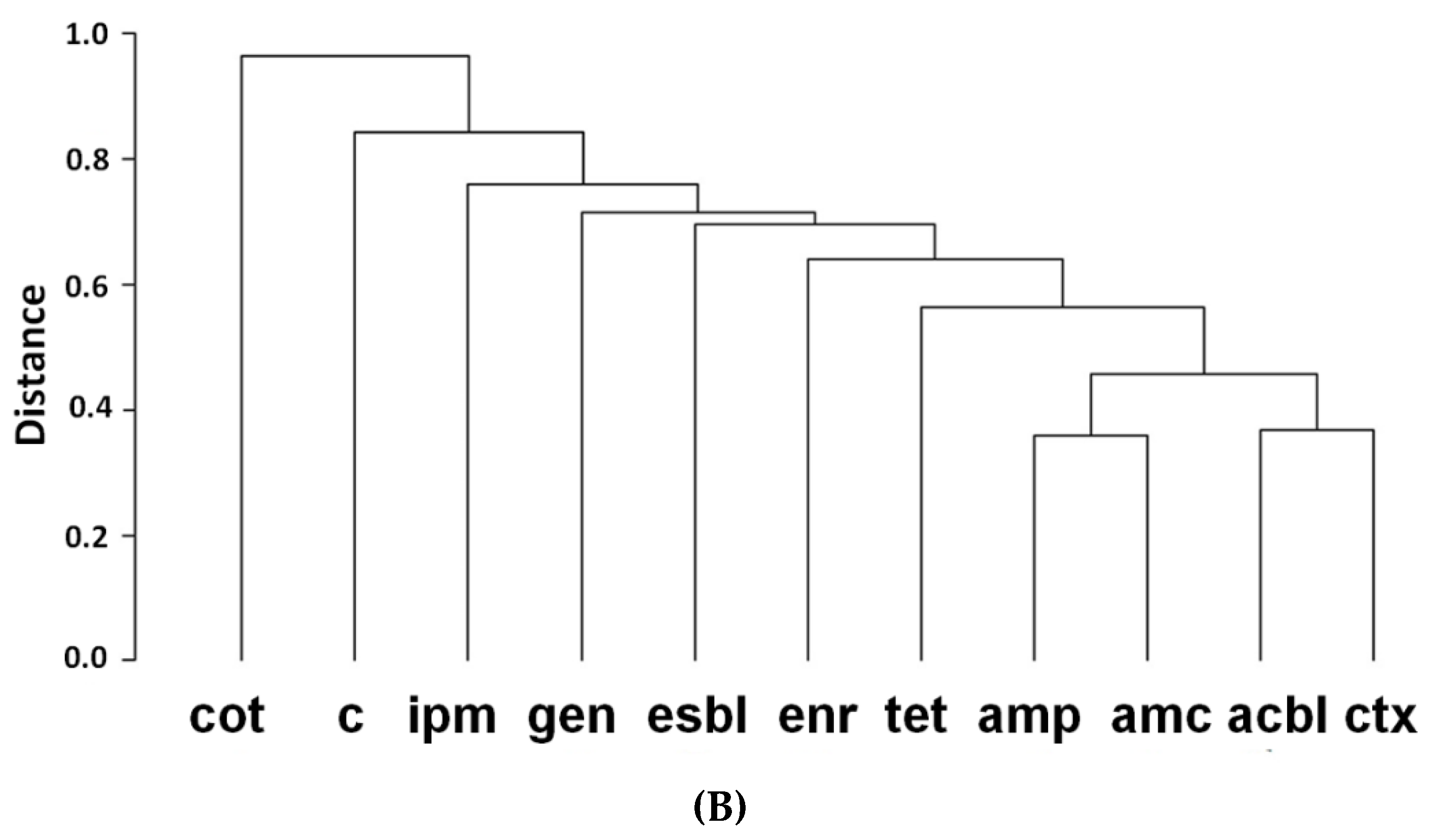 Antibiotics 11 01344 g001b Antibiotics 11 01344 g001b
