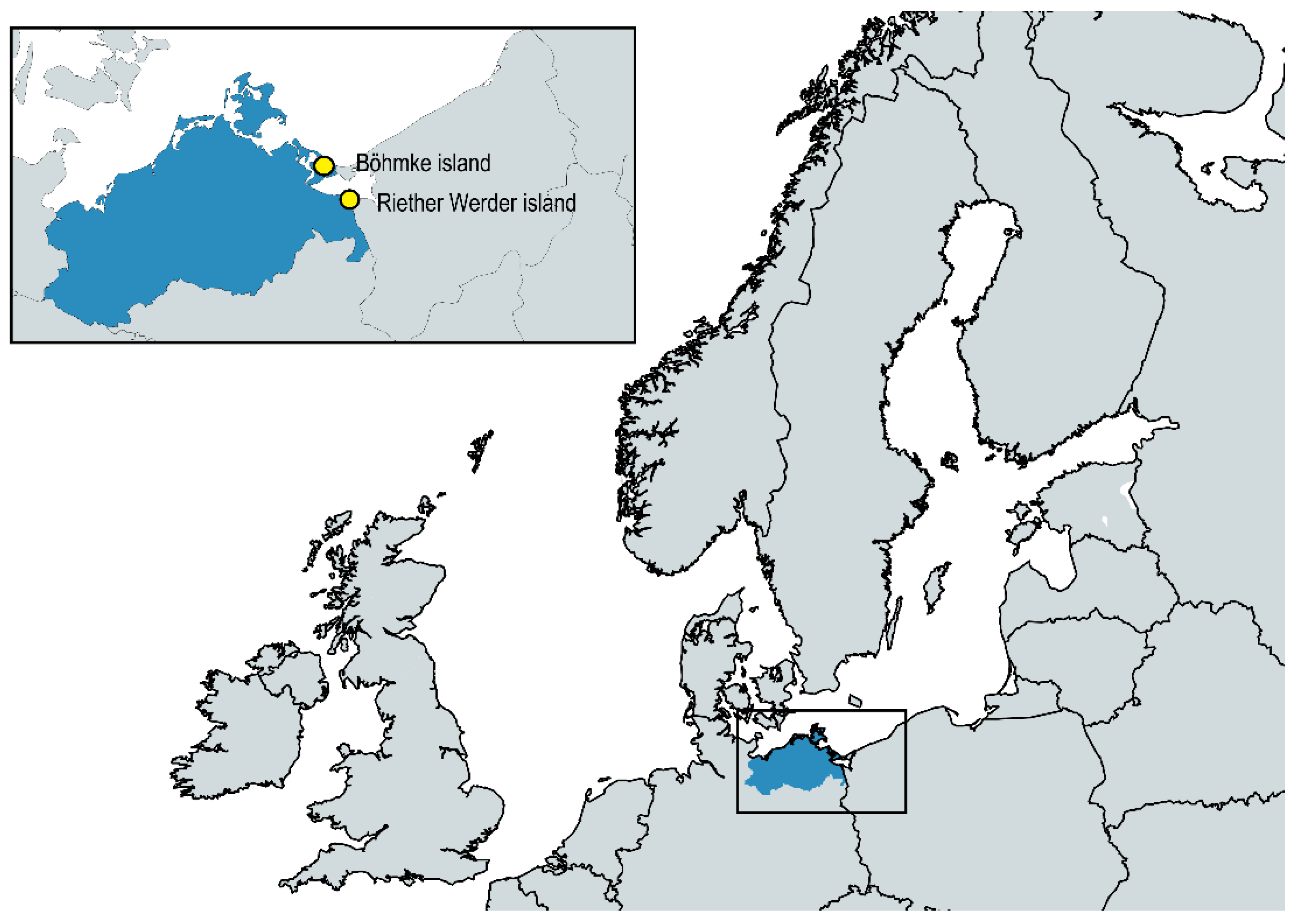 Antibiotics 11 01357 g001