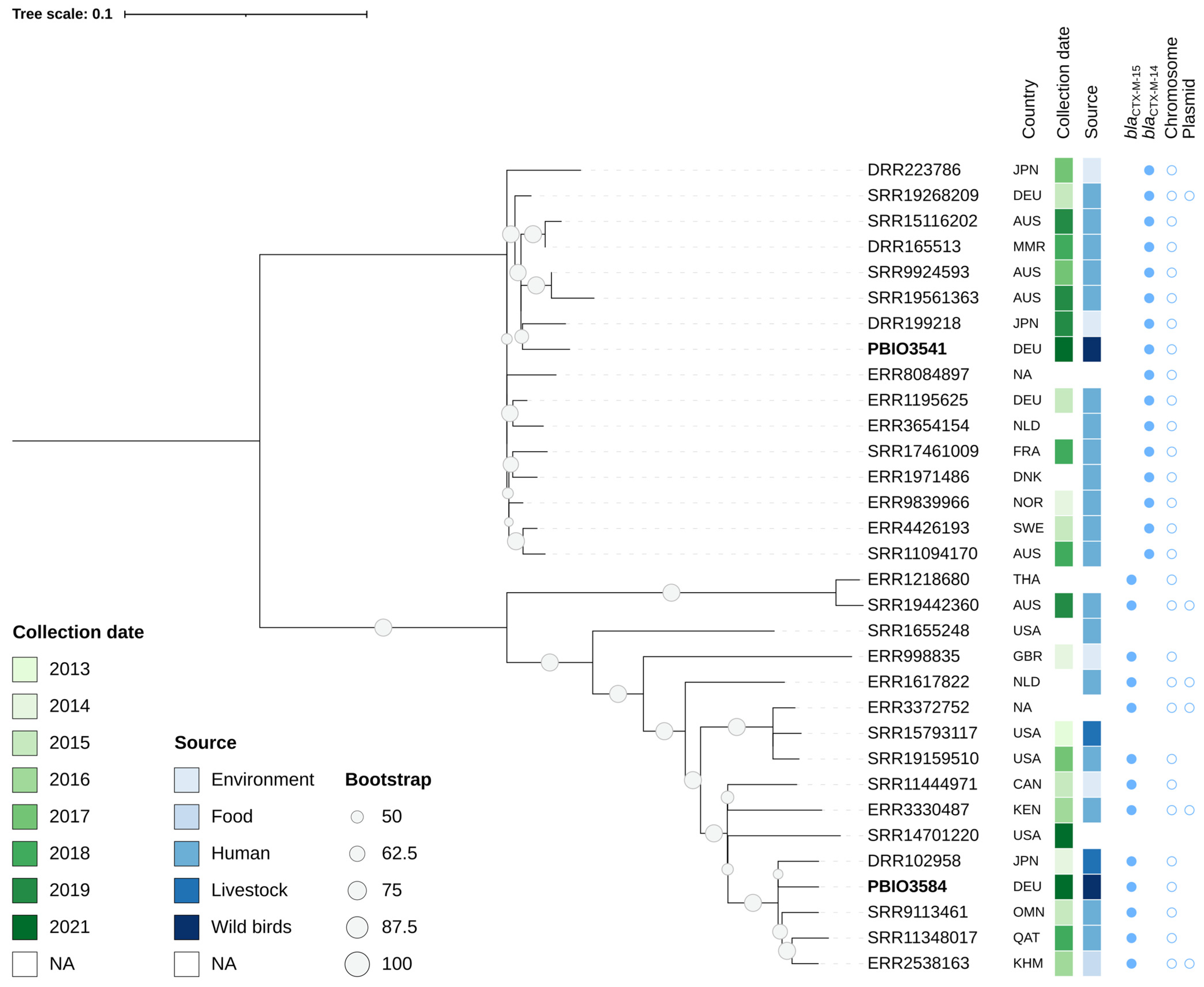 Antibiotics 11 01357 g004