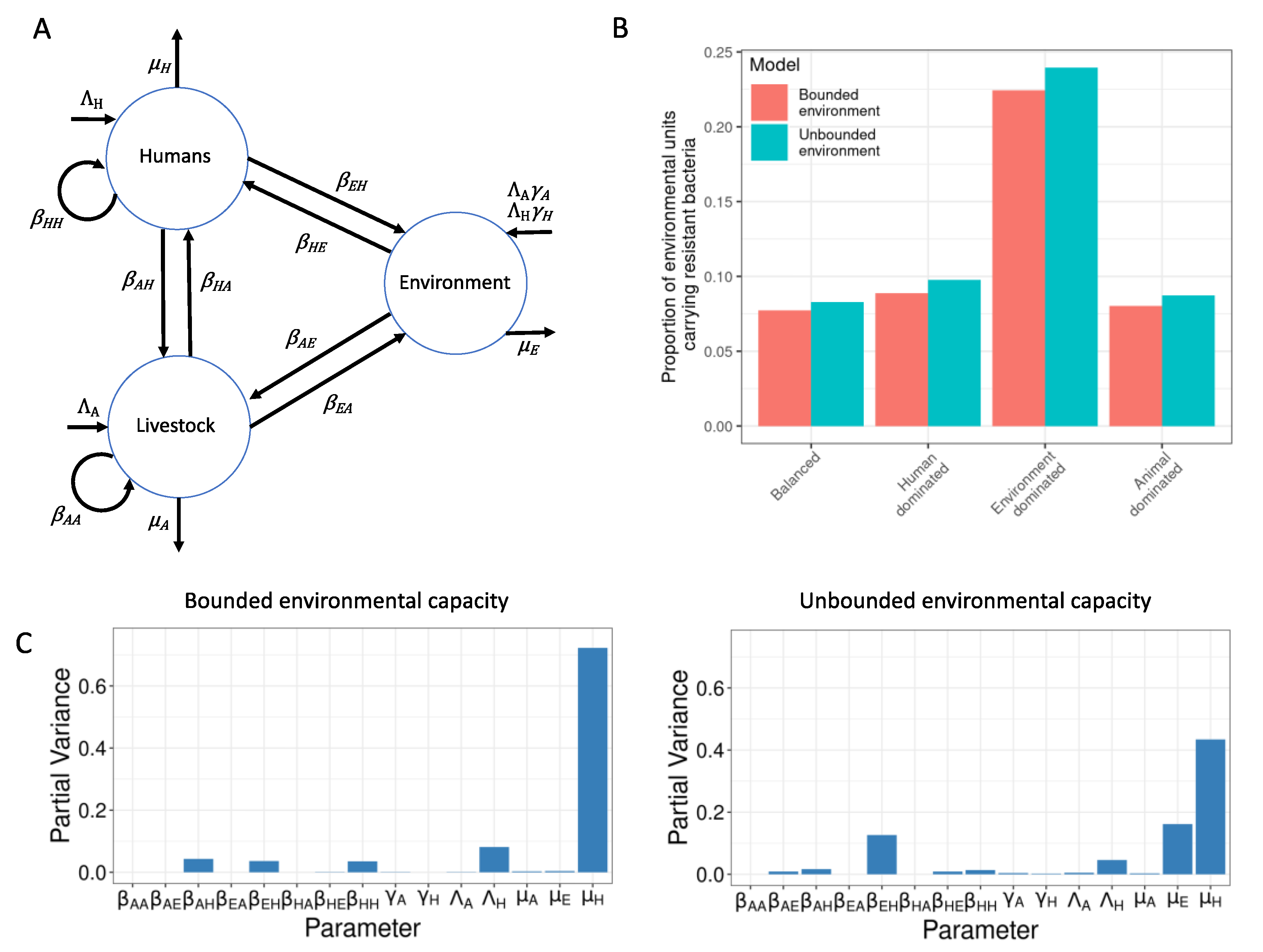 Antibiotics 11 01361 g001