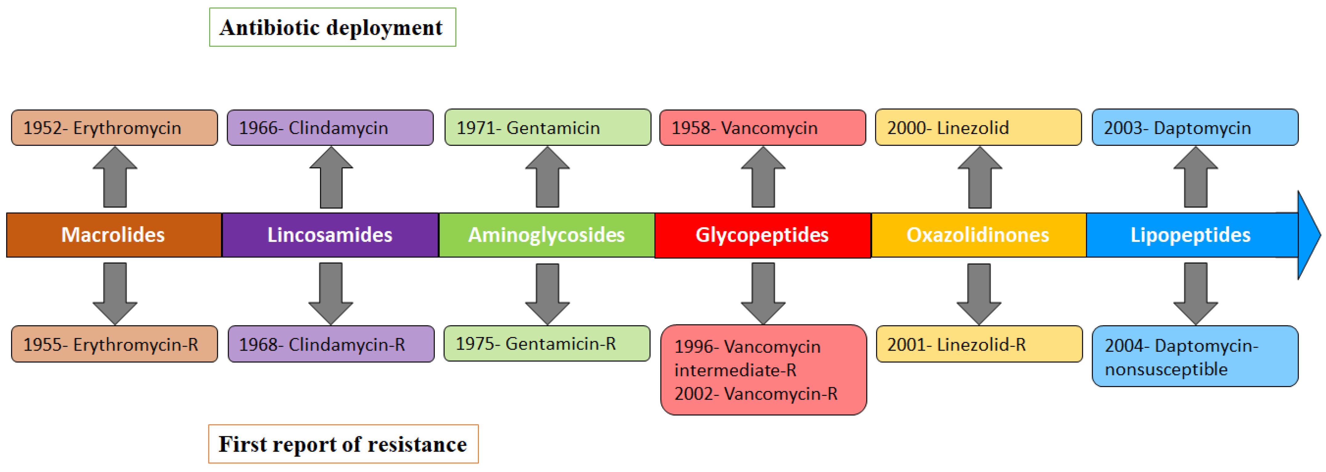 Antibiotics 11 01378 g001