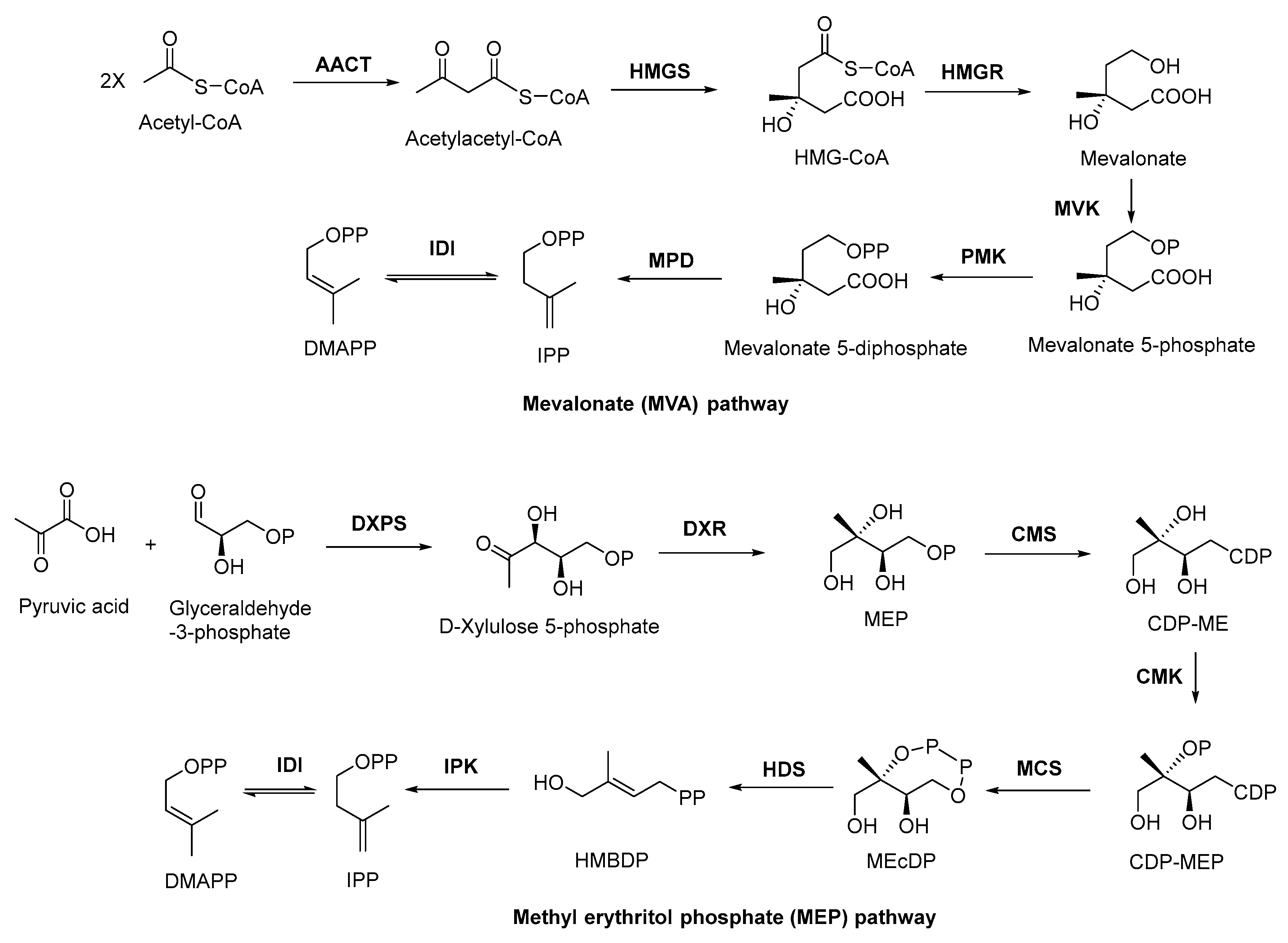 Antibiotics 11 01380 g001