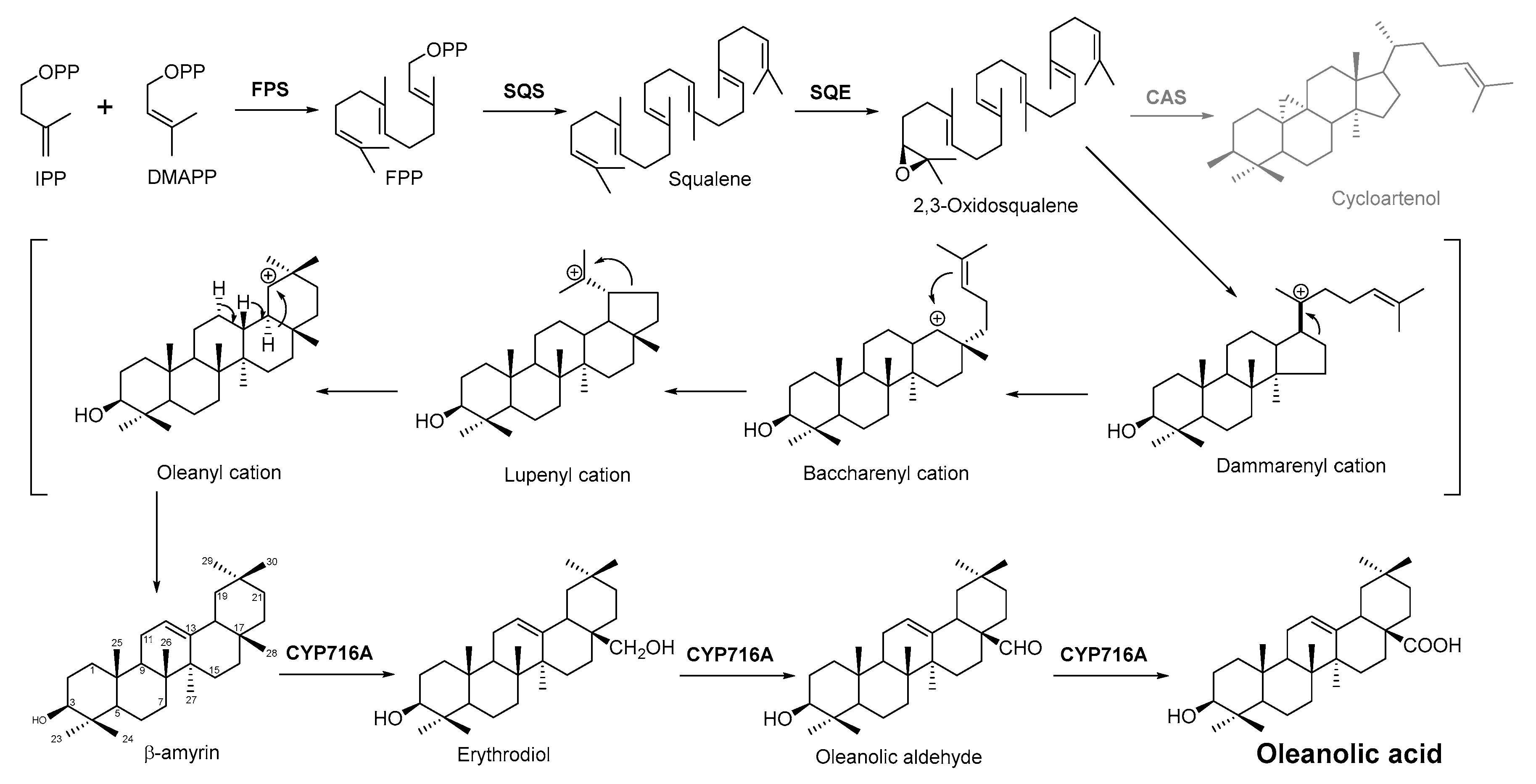 Antibiotics 11 01380 g003
