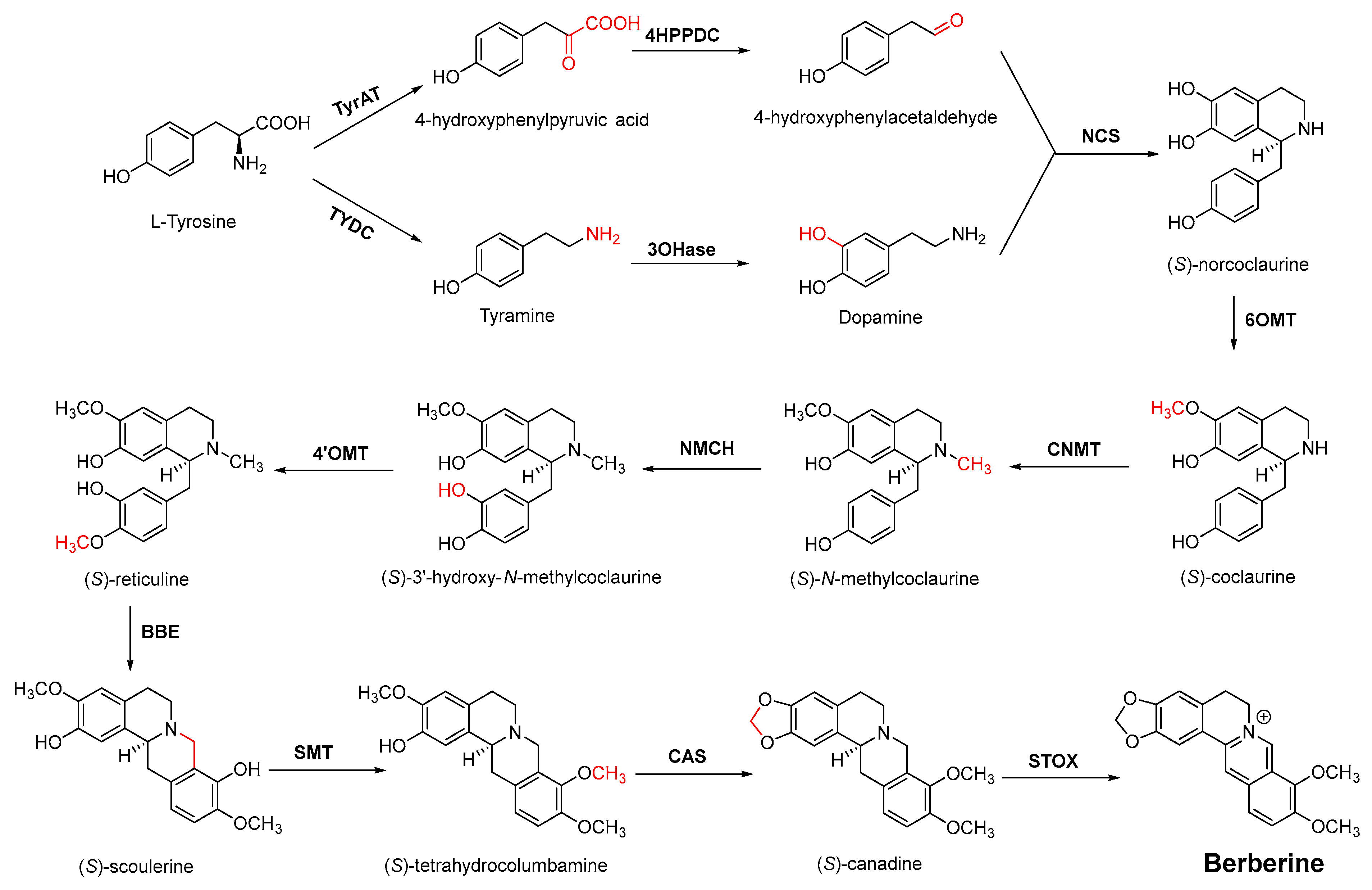 Antibiotics 11 01380 g005