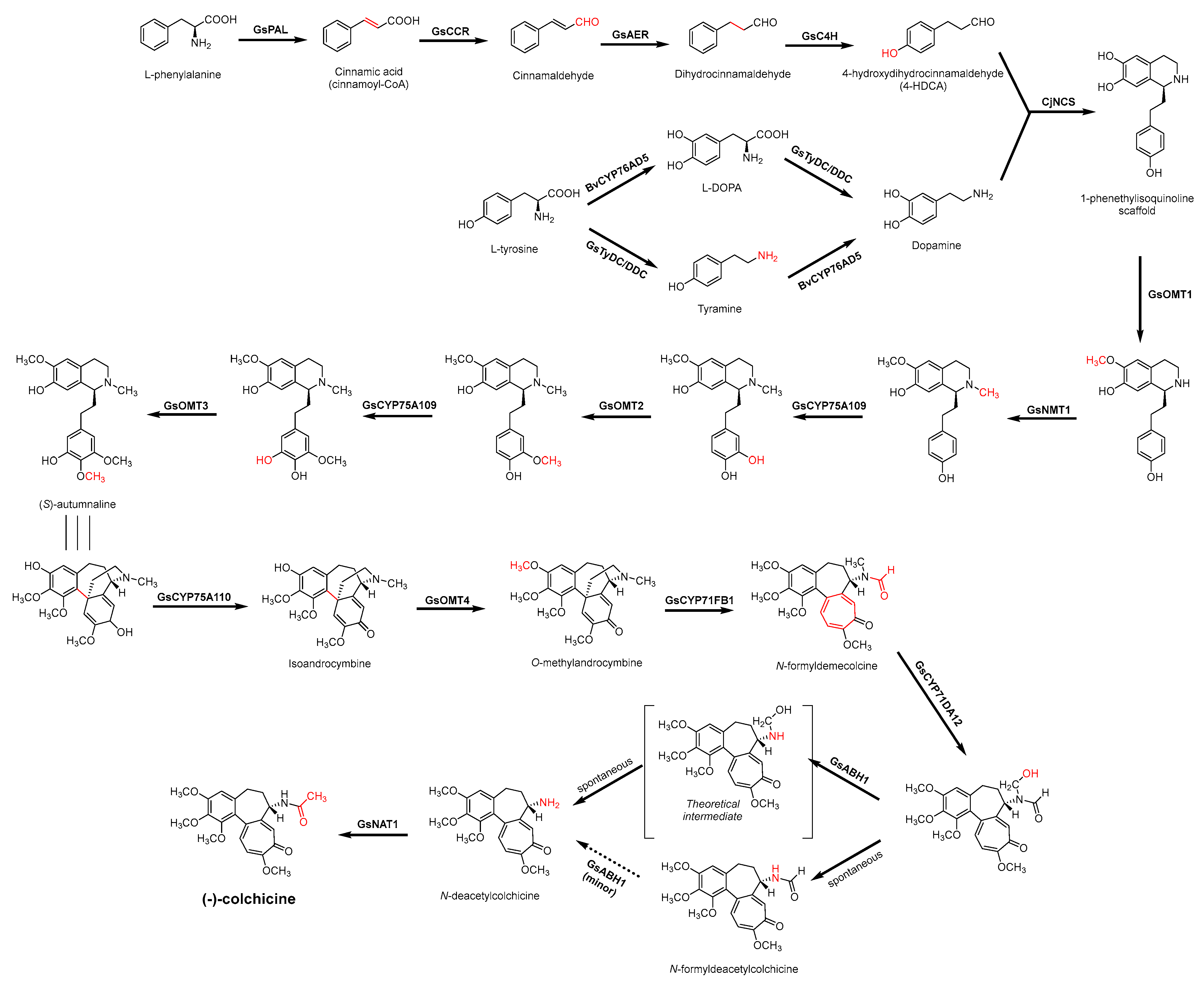Antibiotics 11 01380 g006