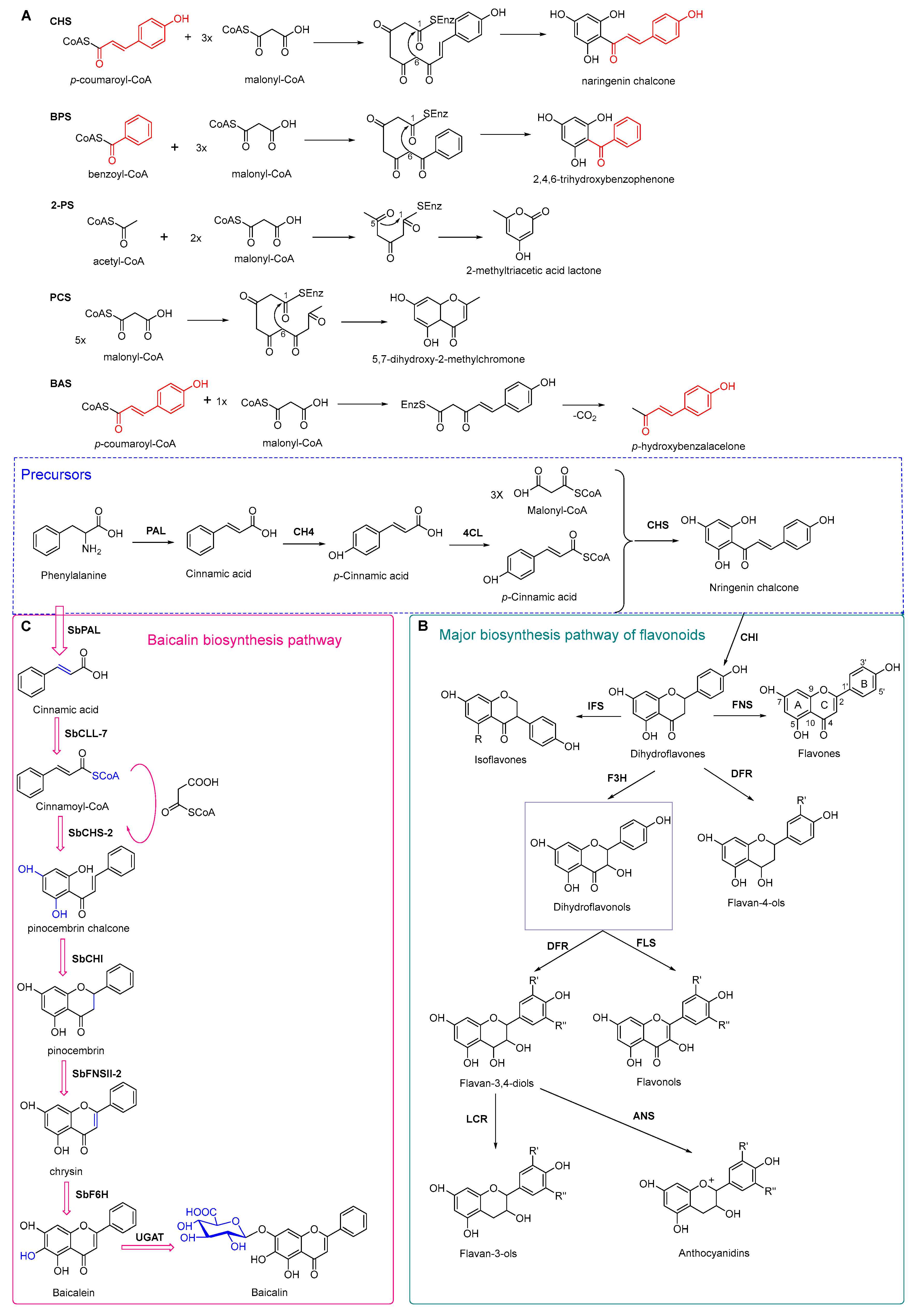 Antibiotics 11 01380 g007