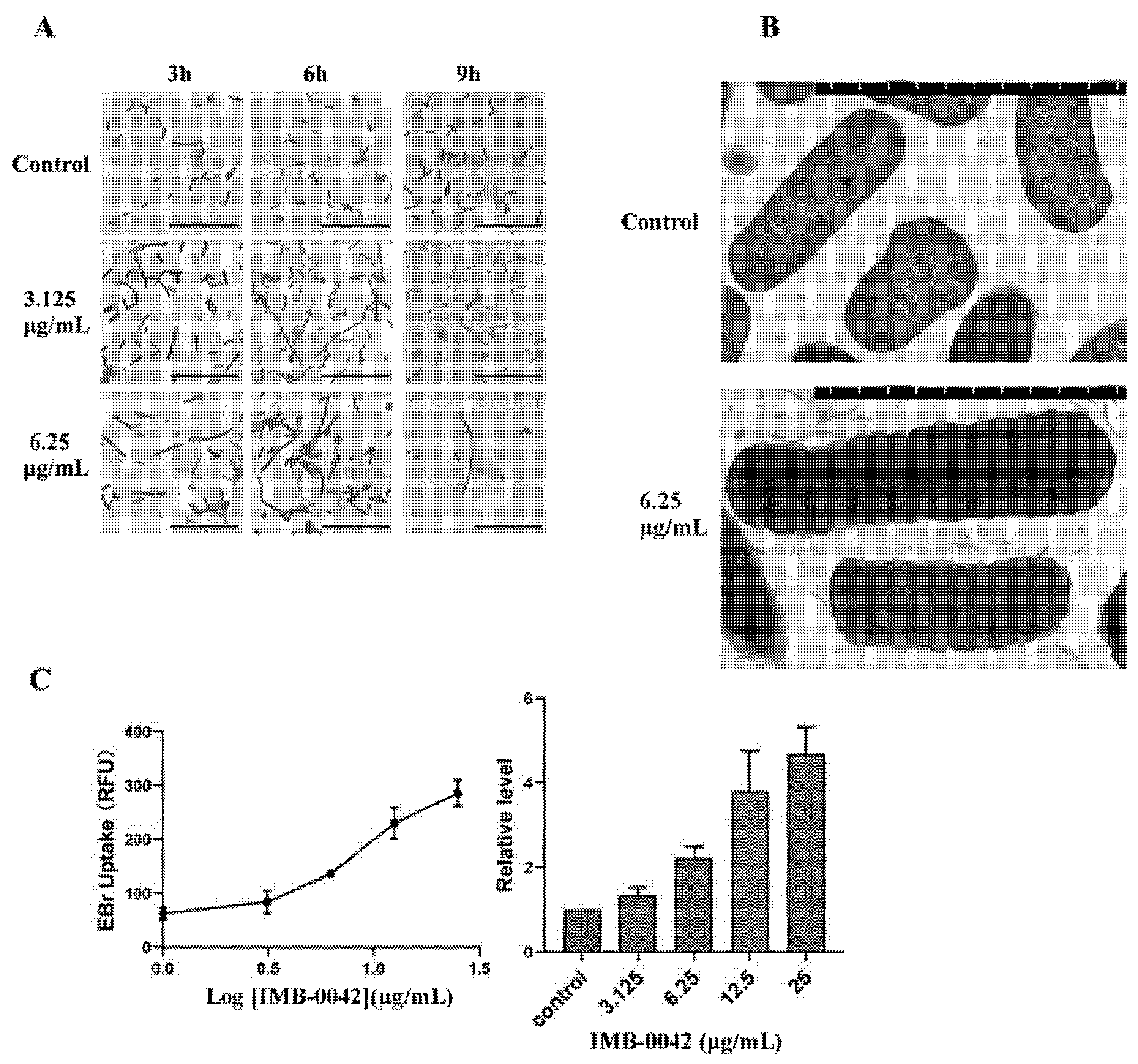 Antibiotics 11 01385 g006