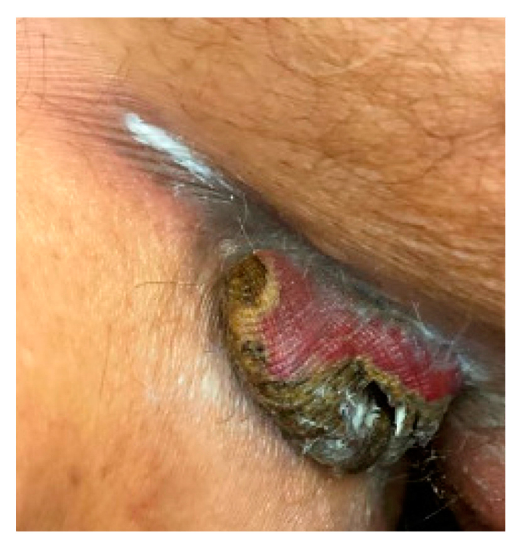 Antibiotics 11 01398 g001 Antibiotics 11 01398 g001