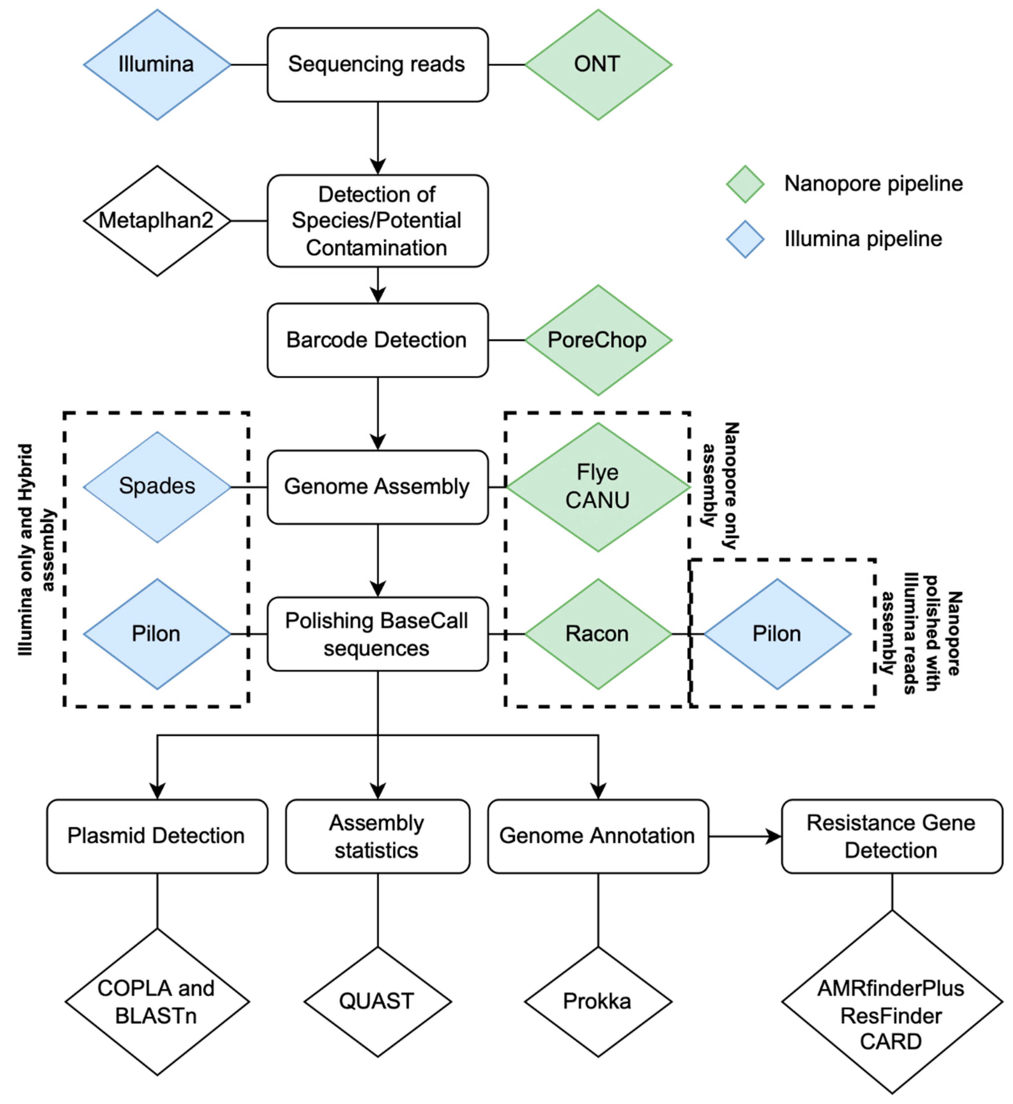 Antibiotics 11 01400 g002