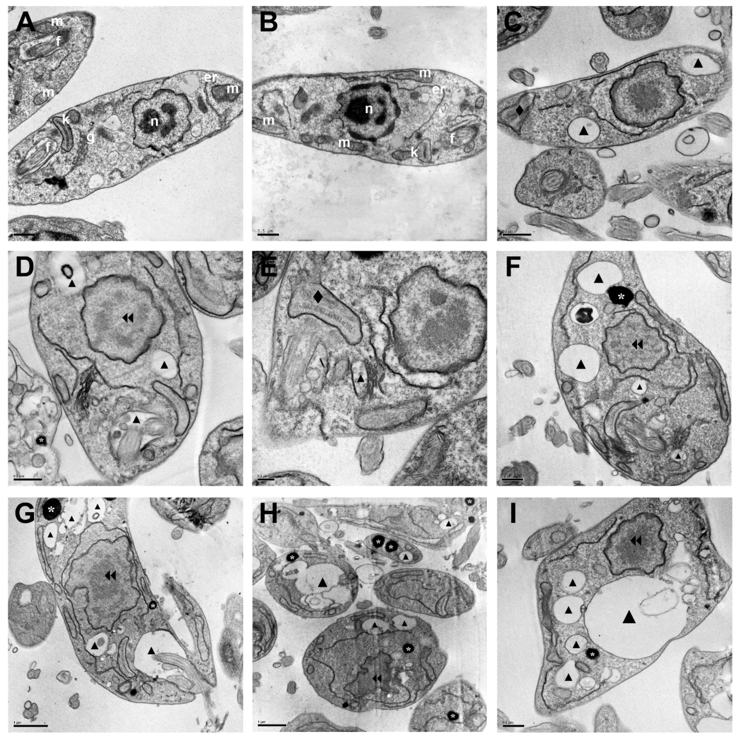 Antibiotics 11 01402 g007