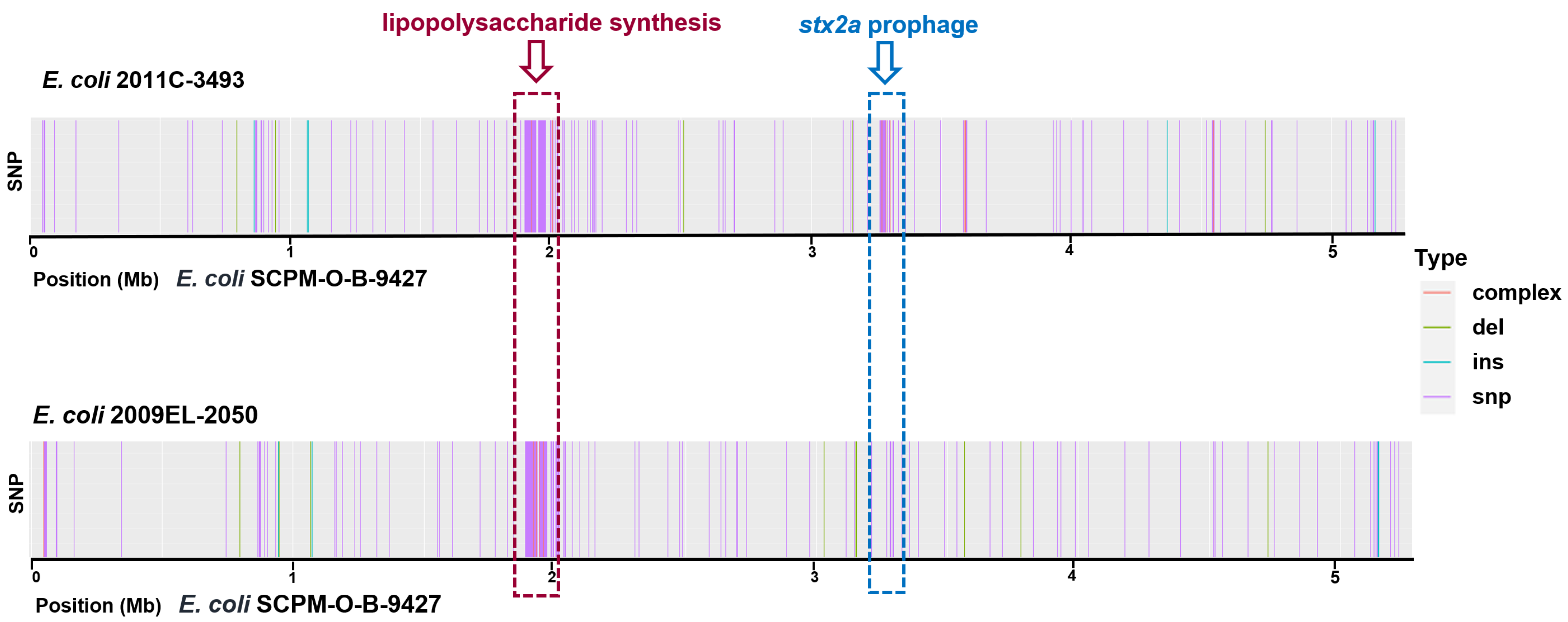 Antibiotics 11 01416 g001