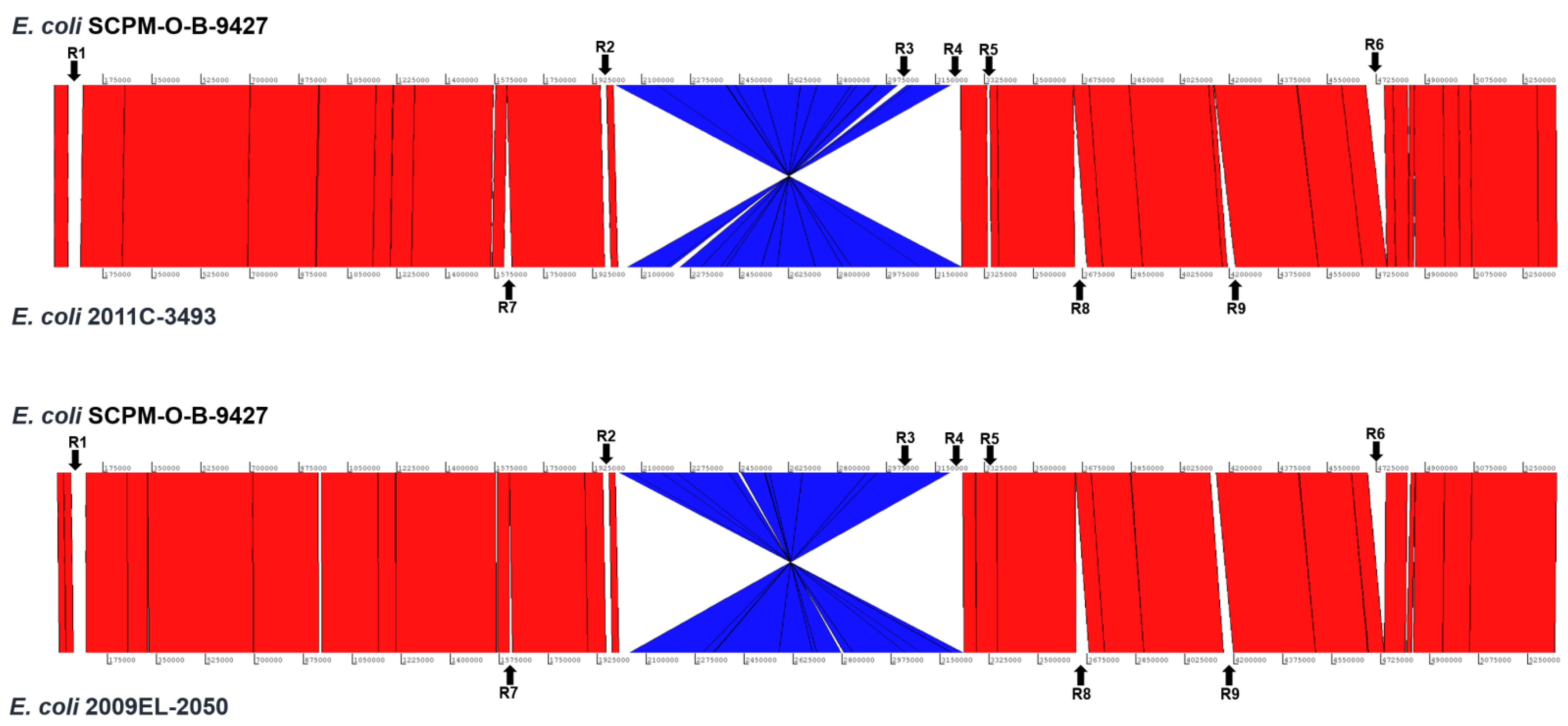 Antibiotics 11 01416 g002