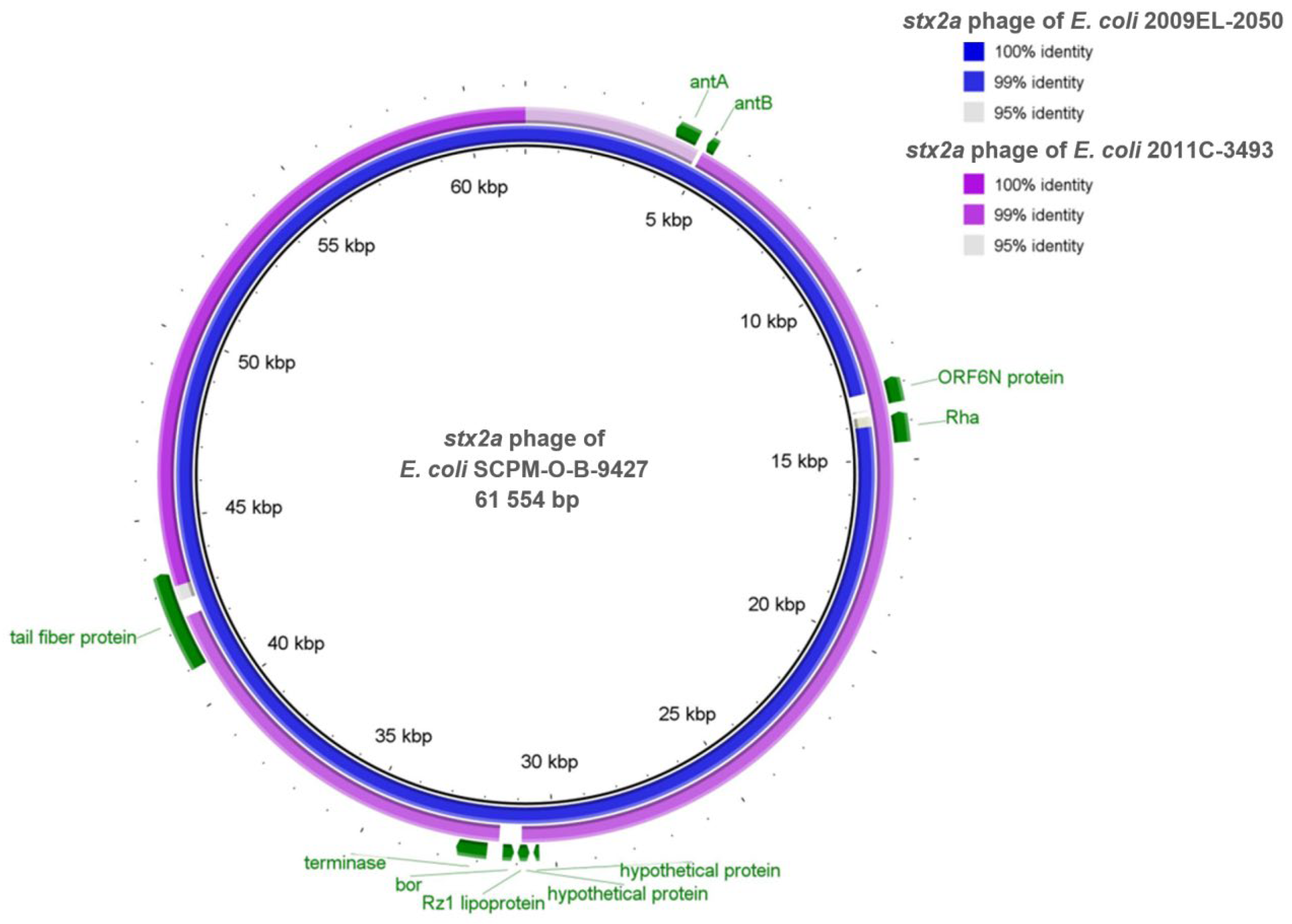 Antibiotics 11 01416 g003