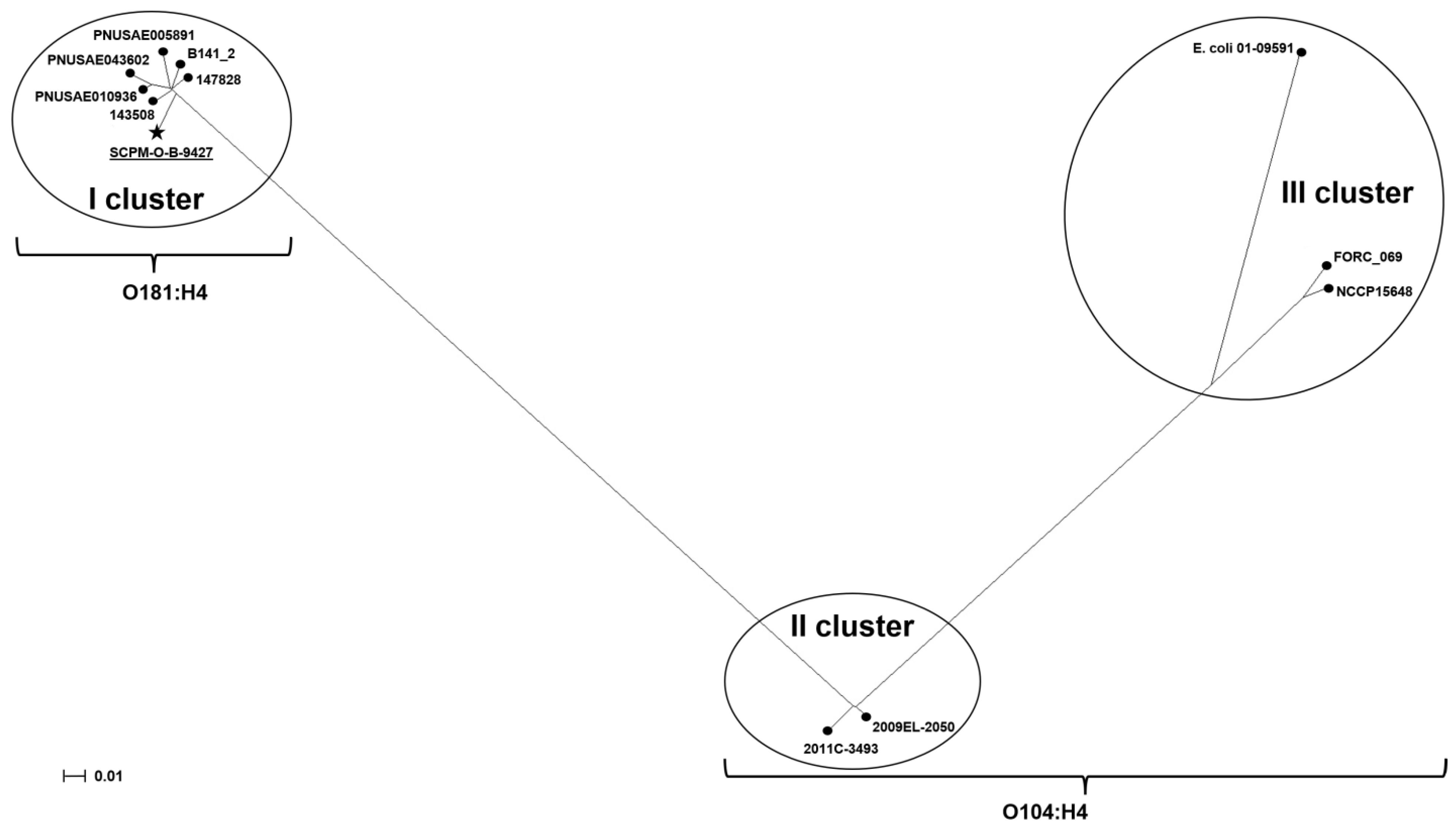 Antibiotics 11 01416 g006