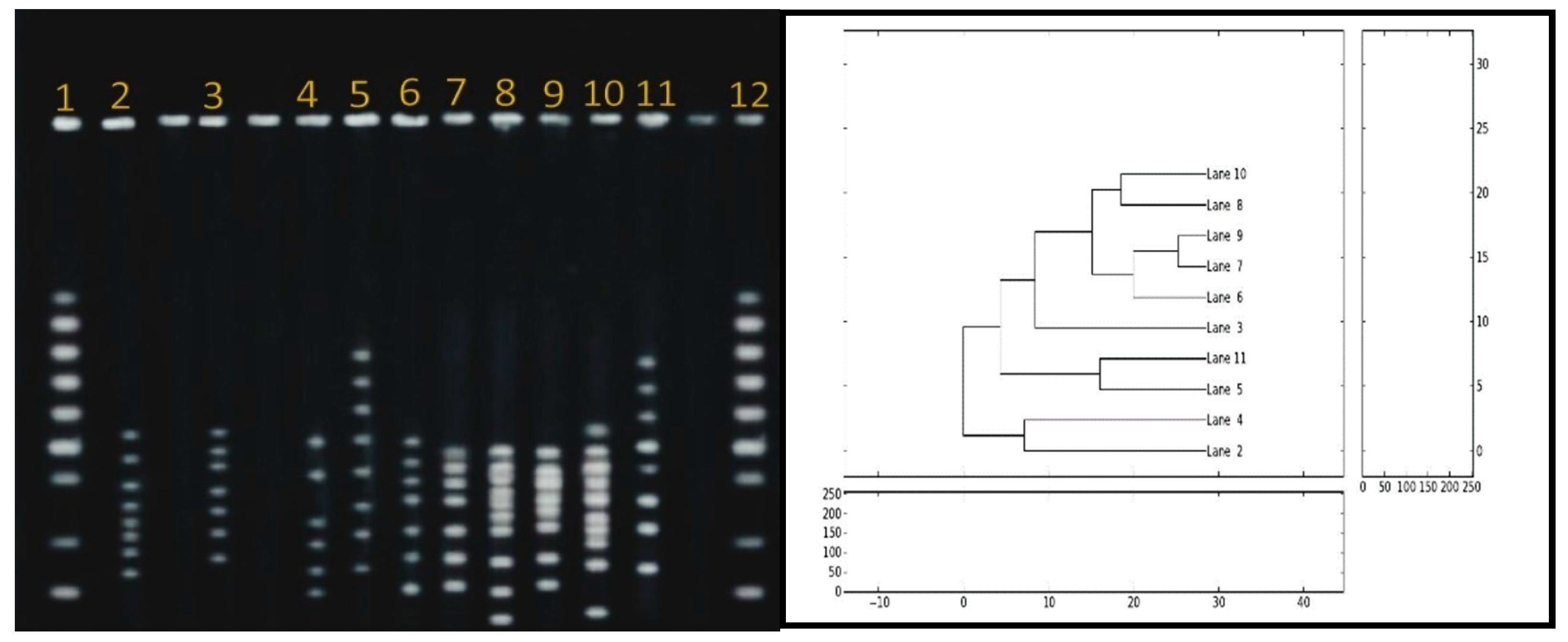 Antibiotics 11 01421 g003