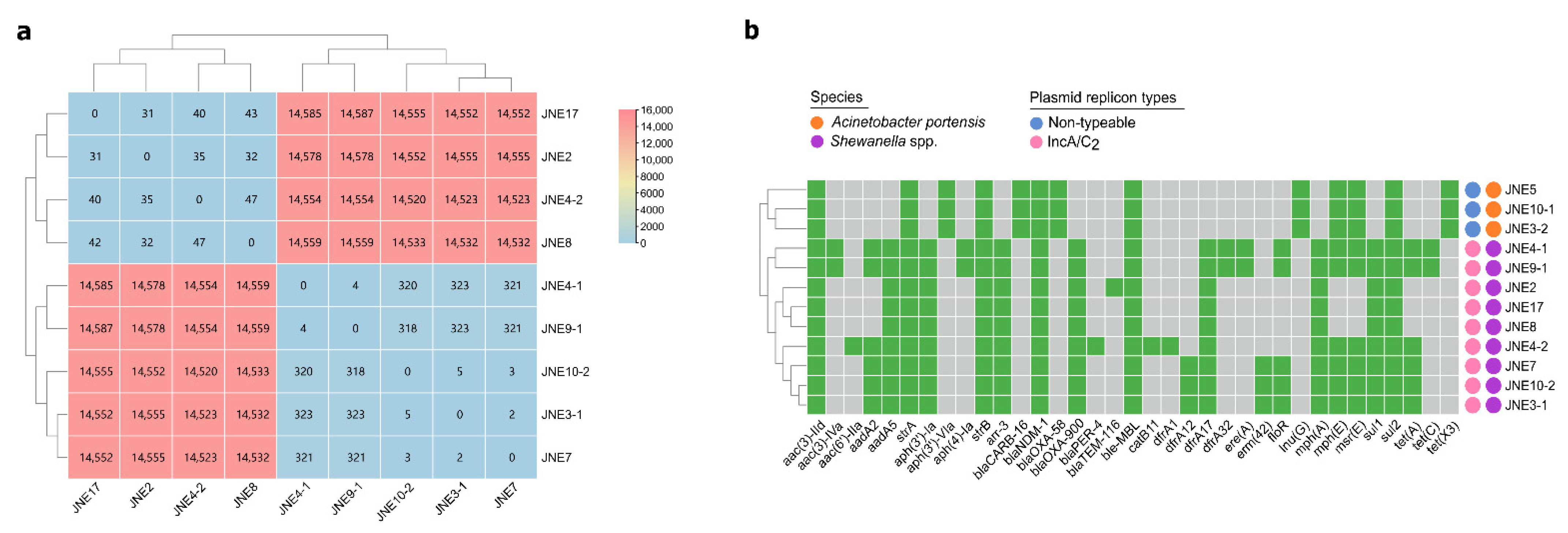 Antibiotics 11 01422 g001
