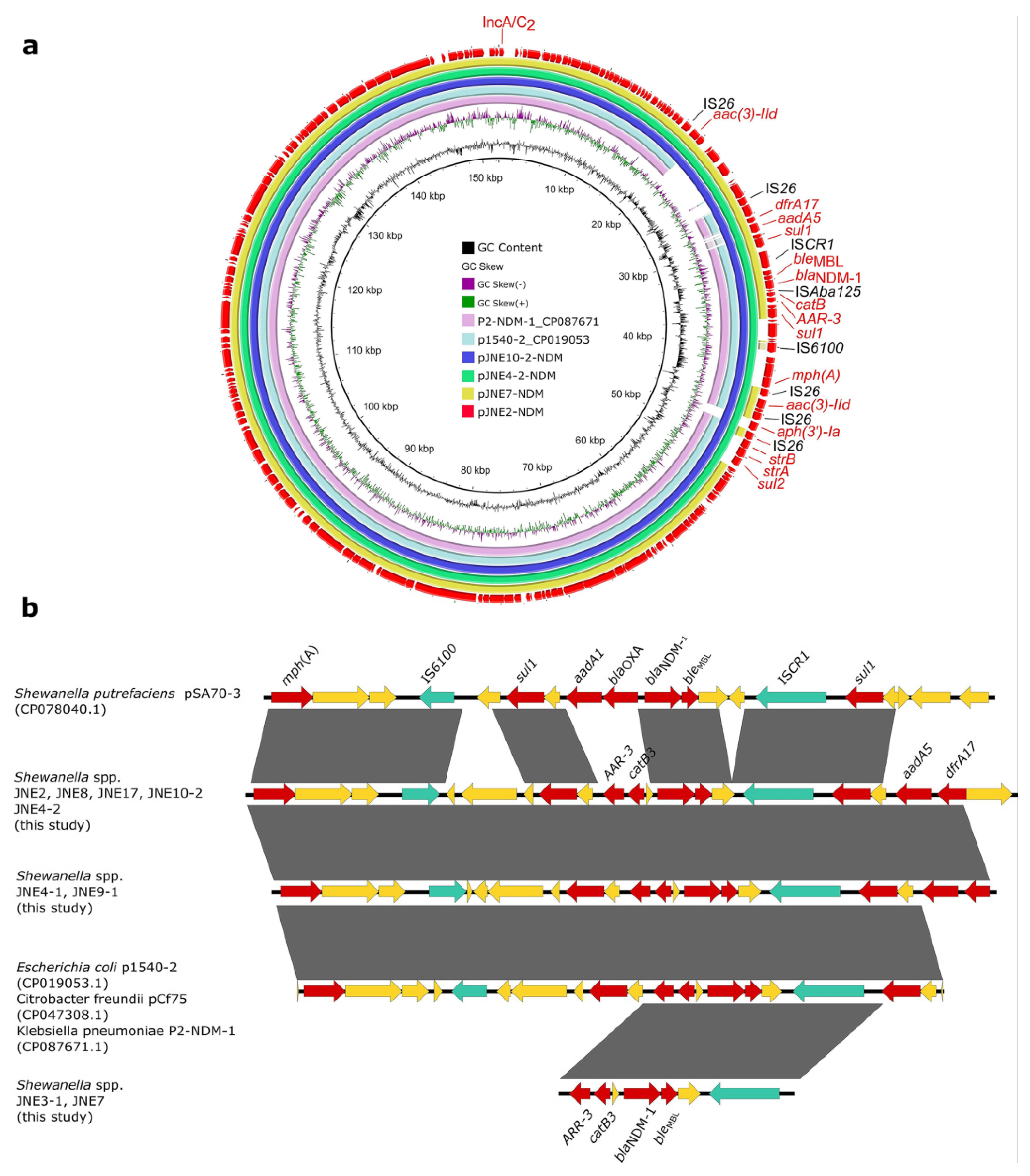 Antibiotics 11 01422 g002