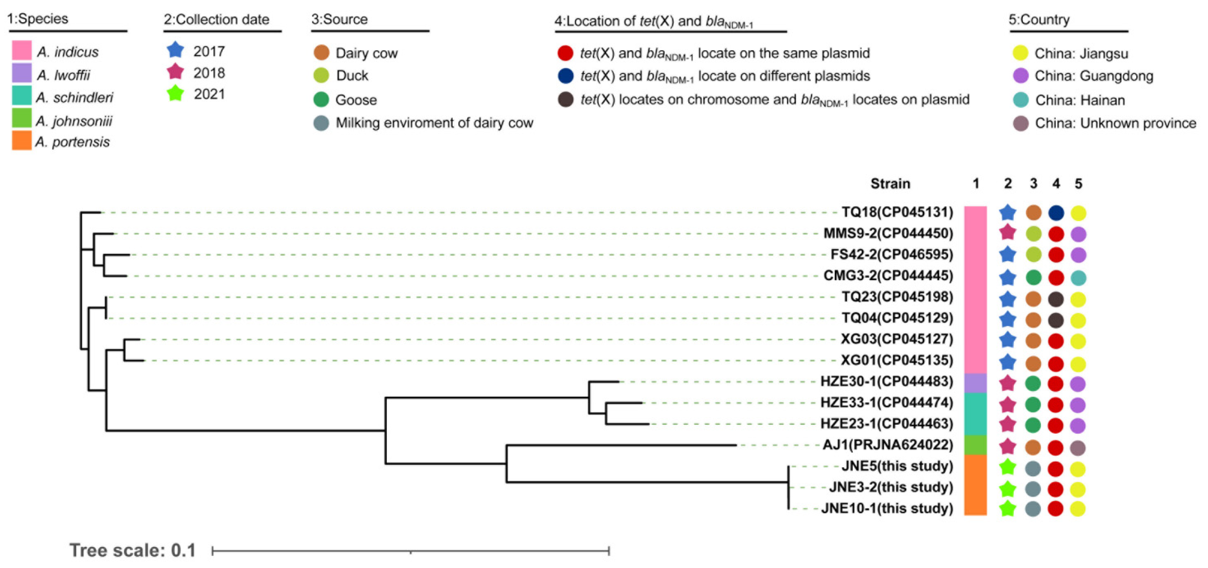 Antibiotics 11 01422 g003