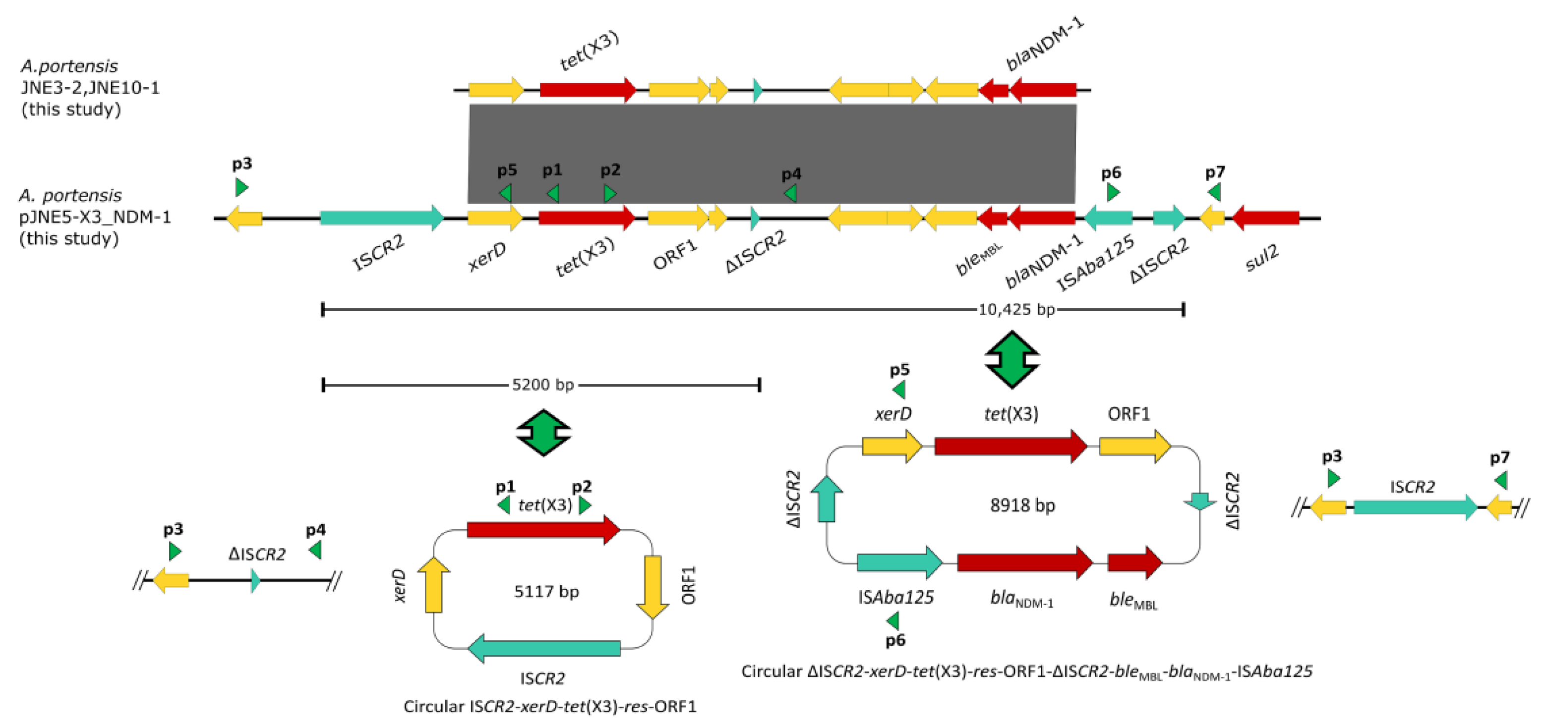 Antibiotics 11 01422 g004