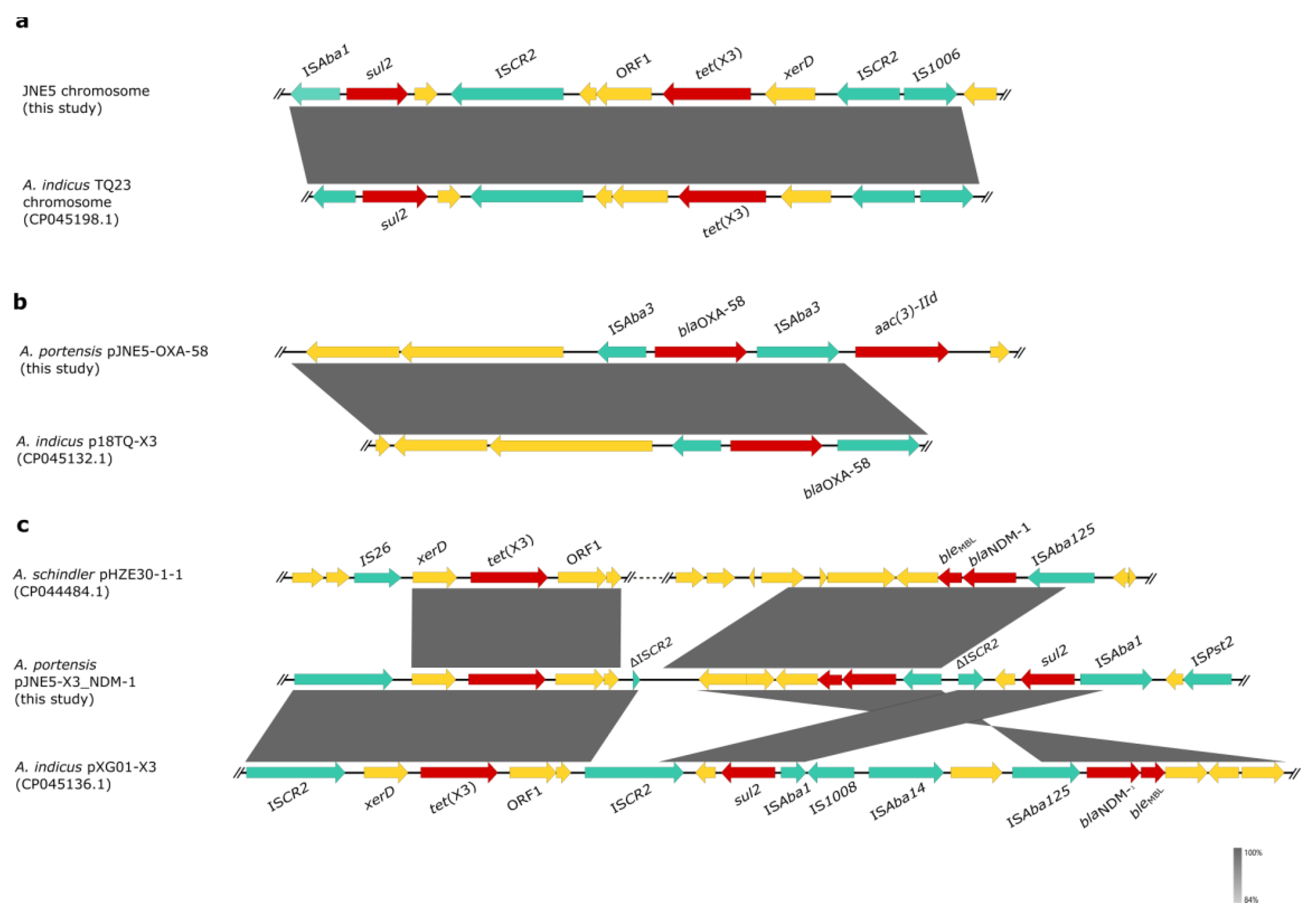 Antibiotics 11 01422 g005