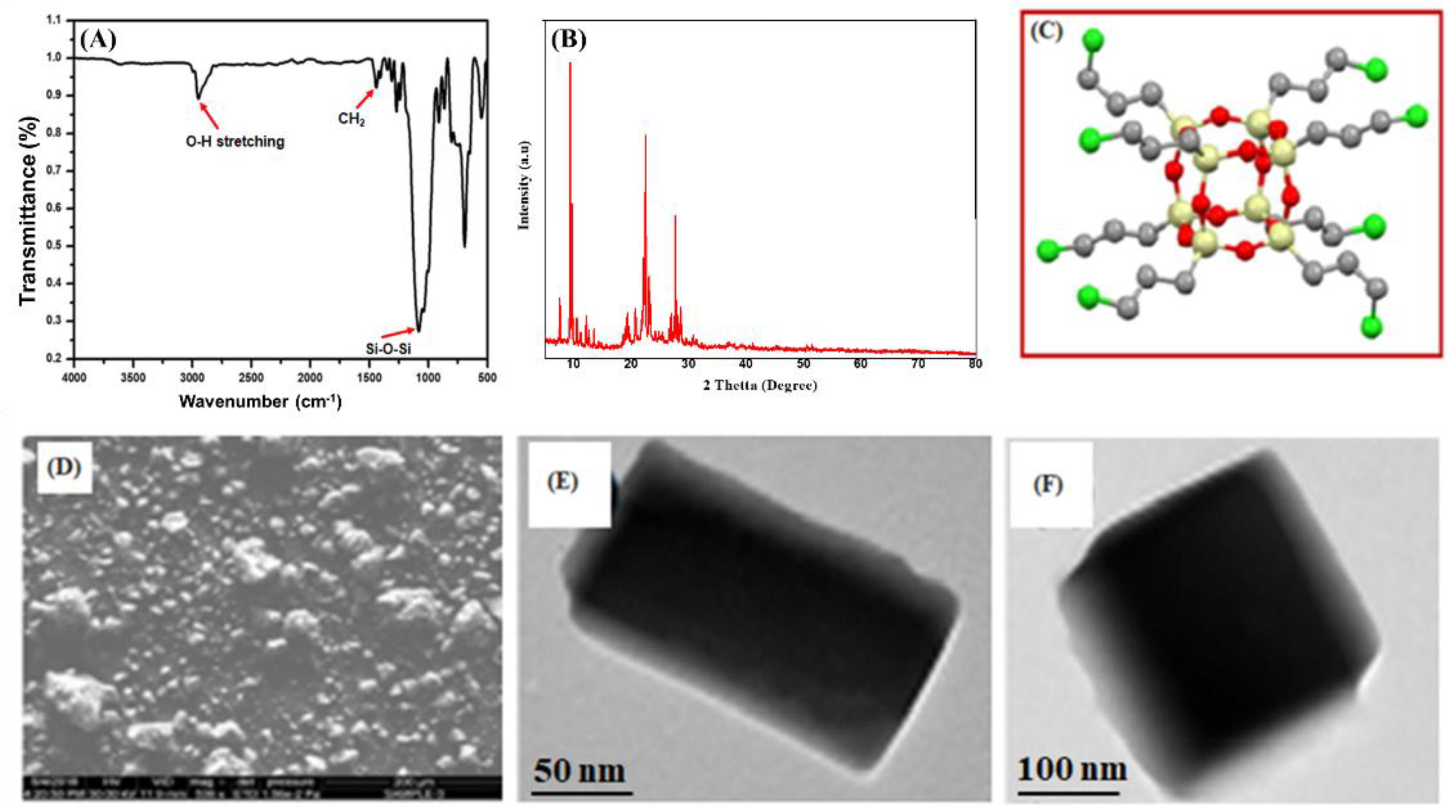 Antibiotics 11 01425 g001