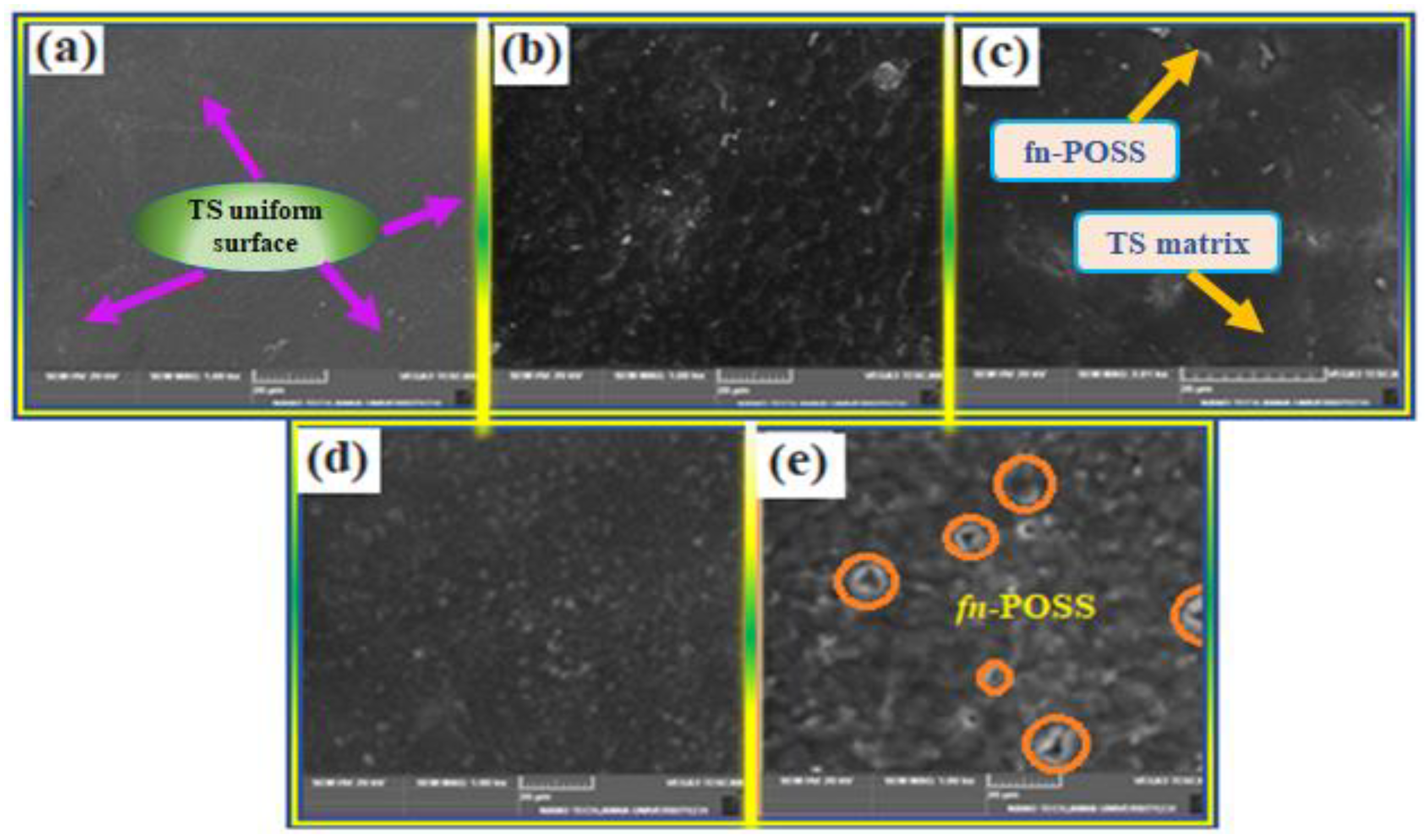 Antibiotics 11 01425 g003
