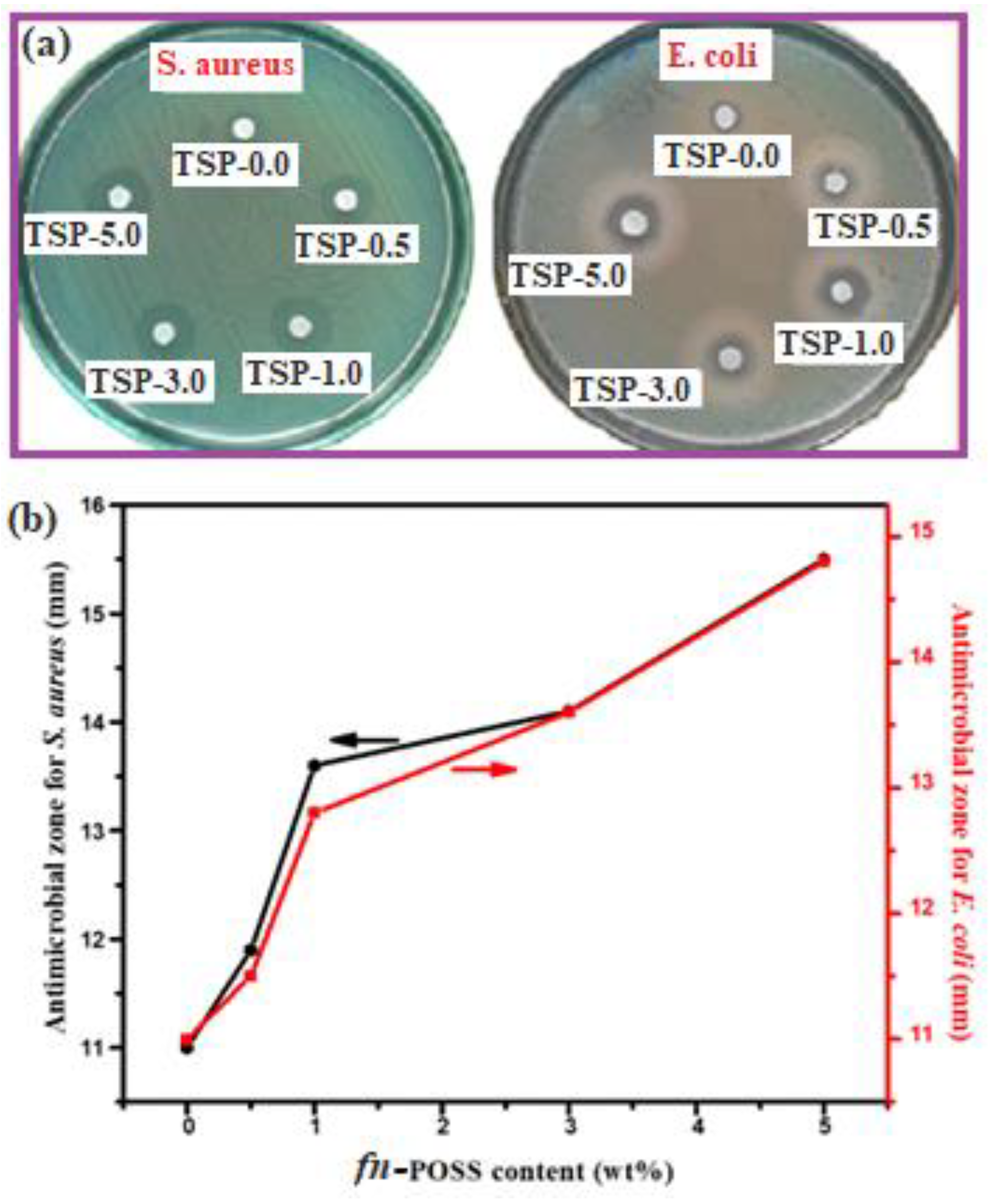 Antibiotics 11 01425 g007