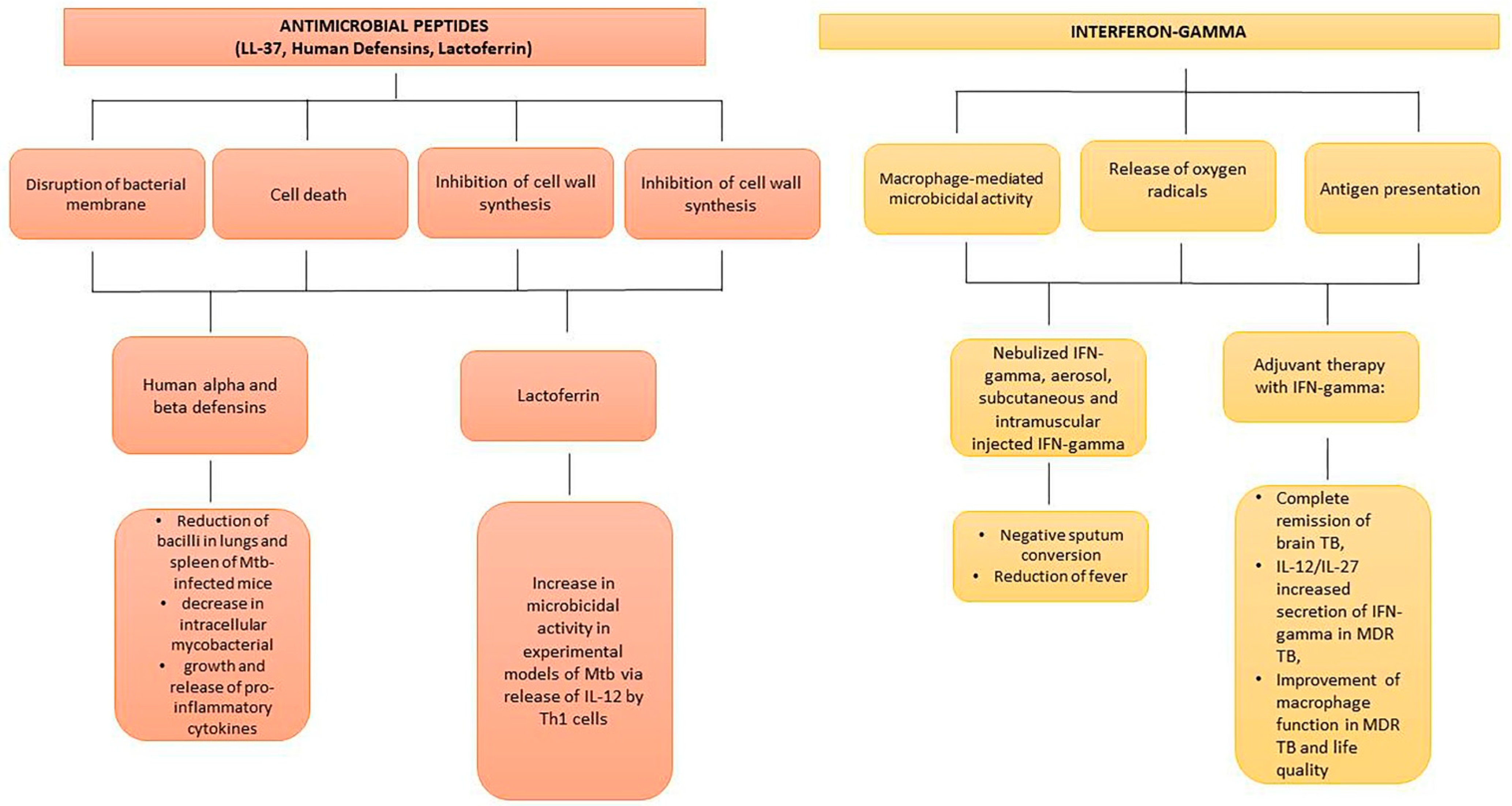 Antibiotics 11 01431 g004