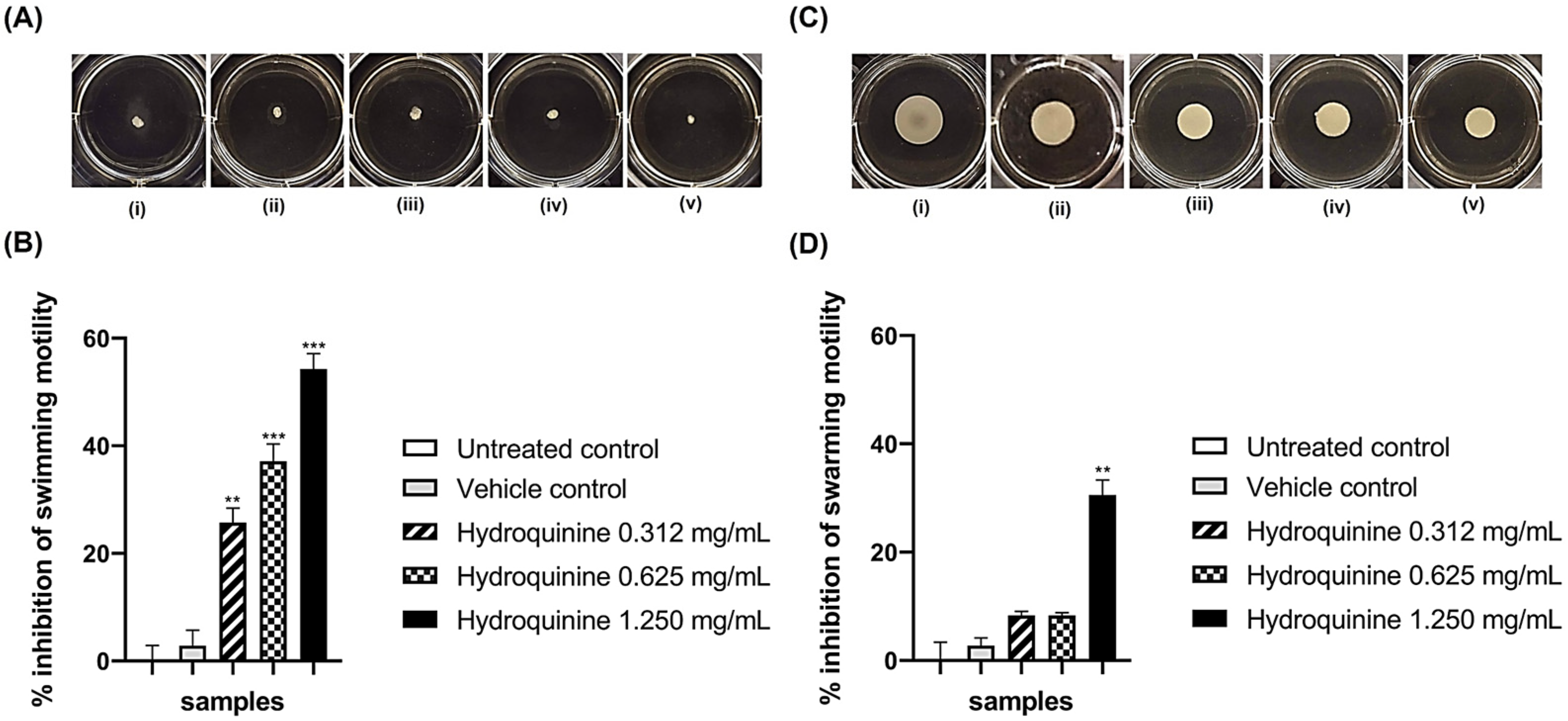 Antibiotics 11 01436 g006
