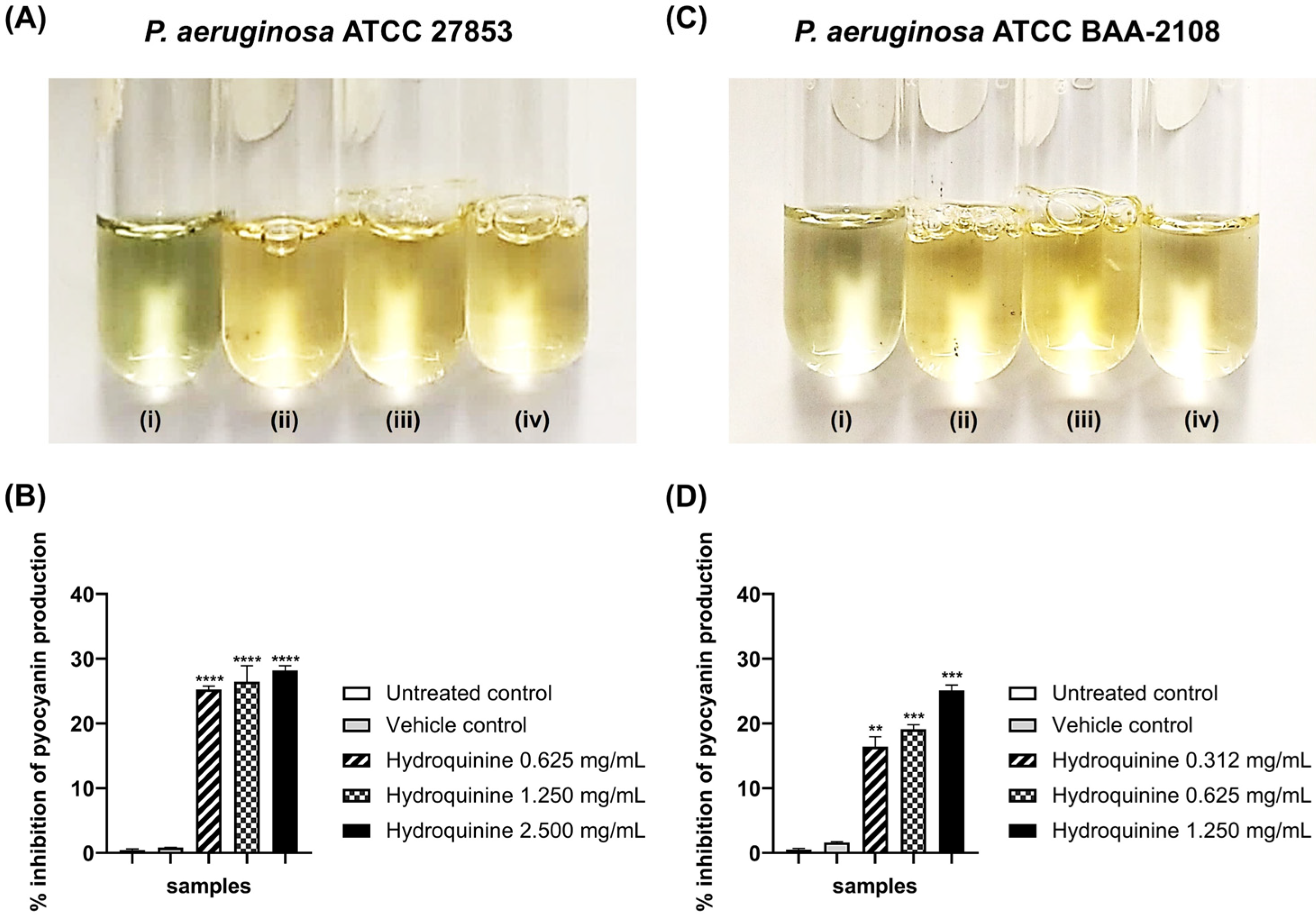 Antibiotics 11 01436 g007