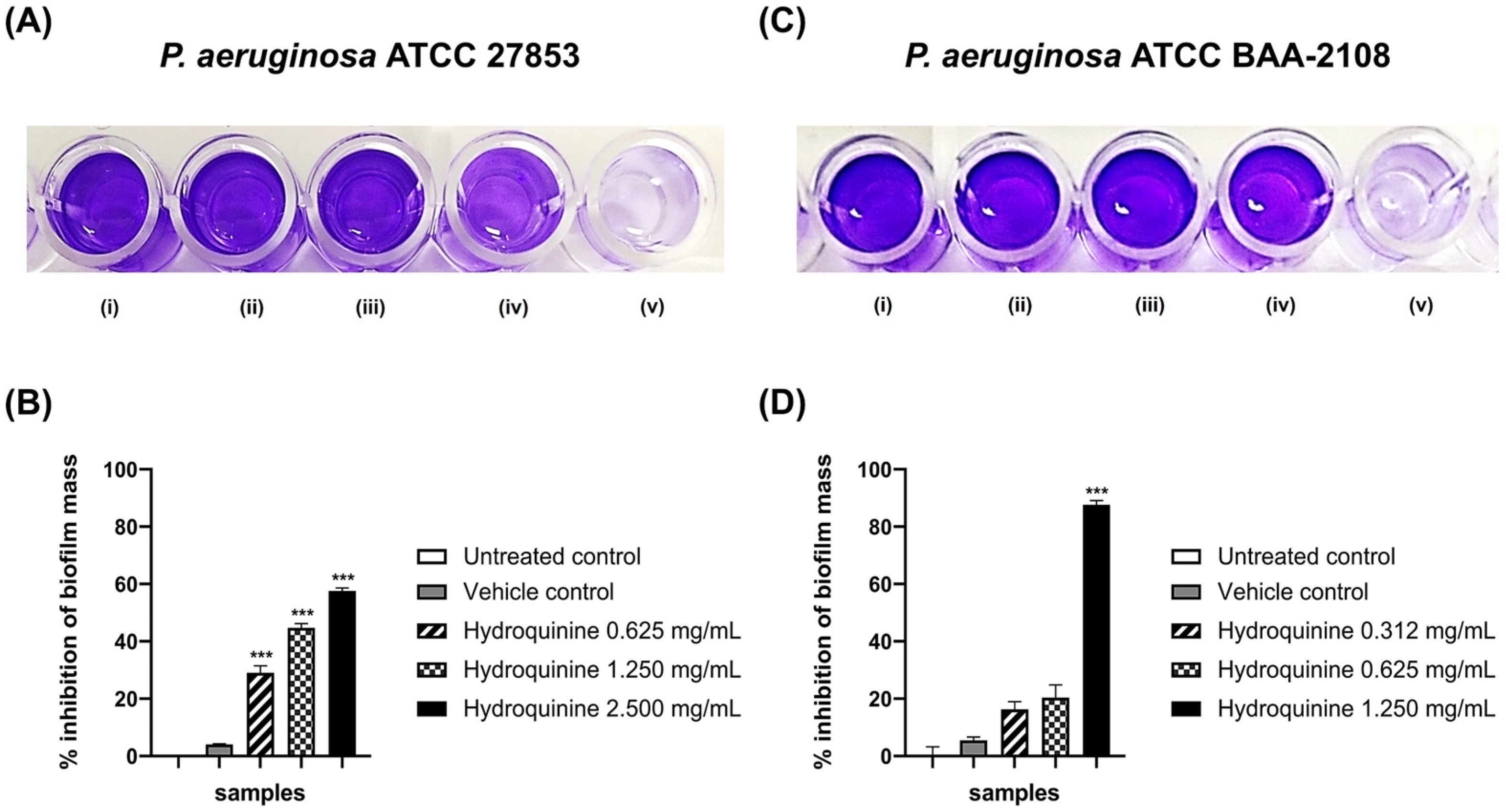 Antibiotics 11 01436 g008