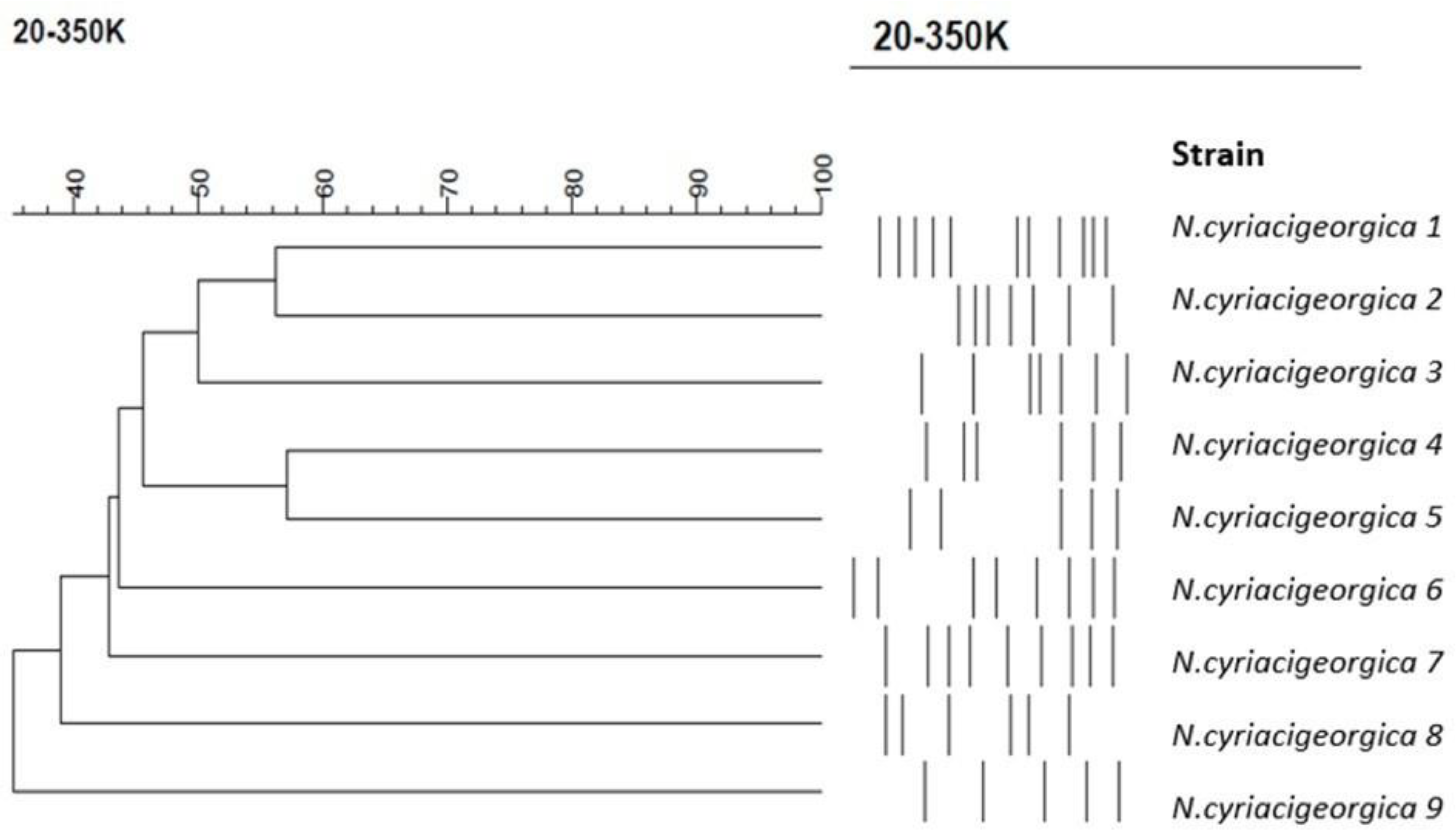 Antibiotics 11 01438 g003 Antibiotics 11 01438 g003