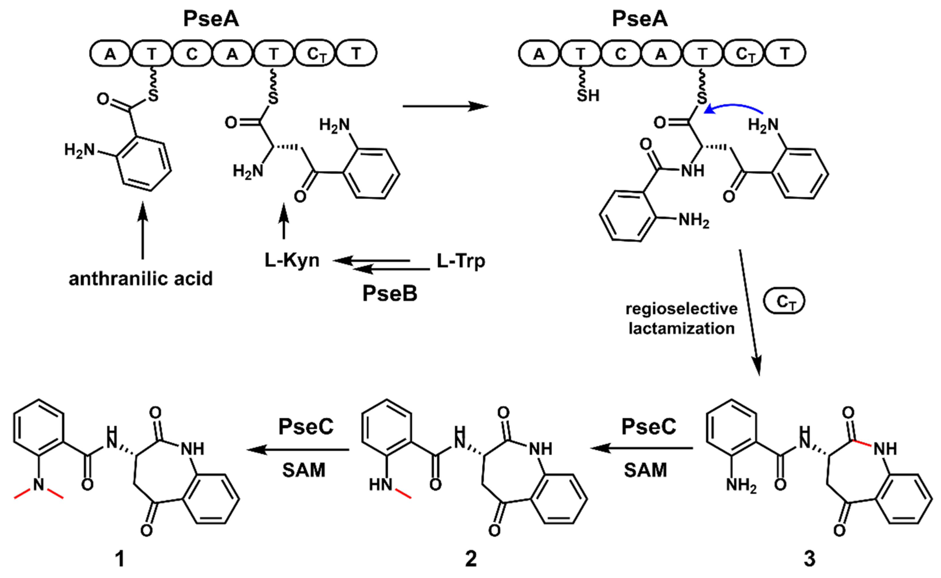 Antibiotics 11 01444 g004