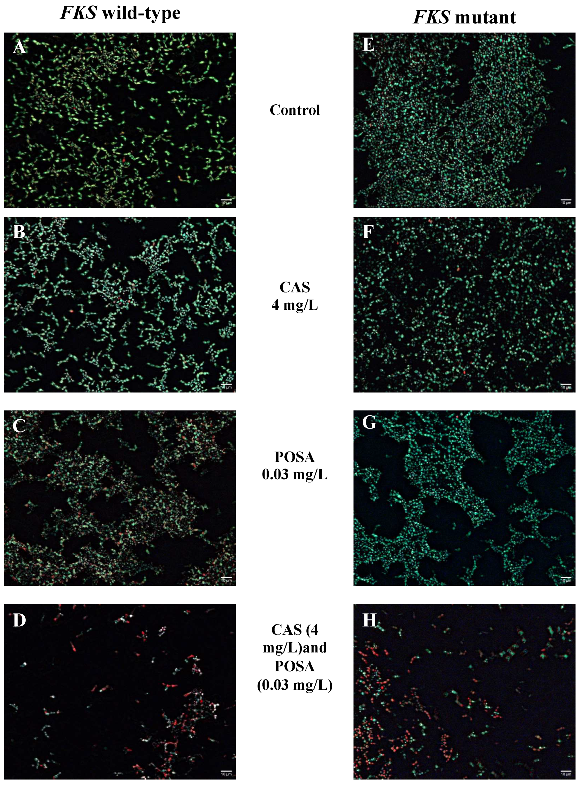 Antibiotics 11 01601 g002