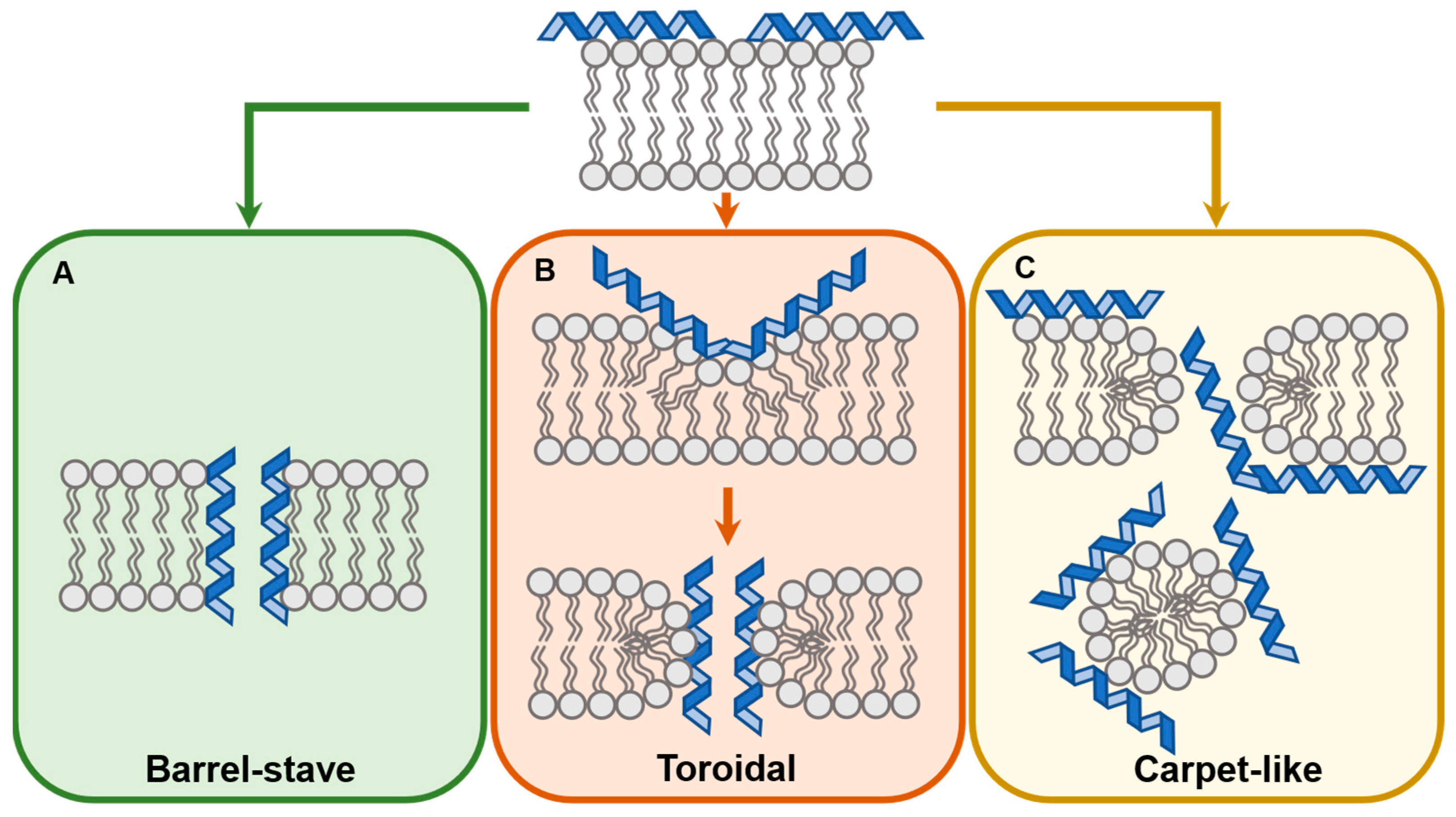 Antibiotics 11 01636 g001