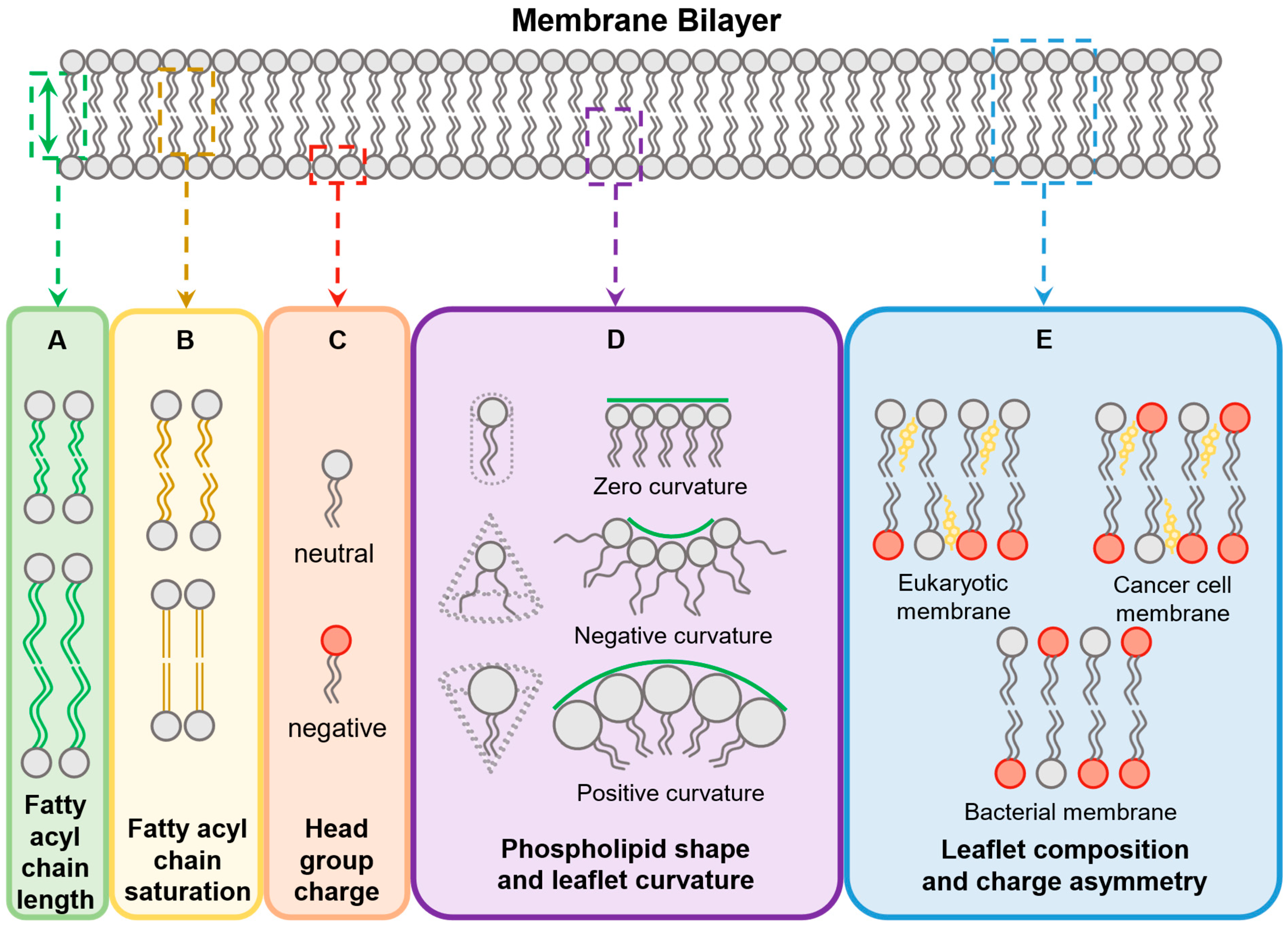 Antibiotics 11 01636 g002