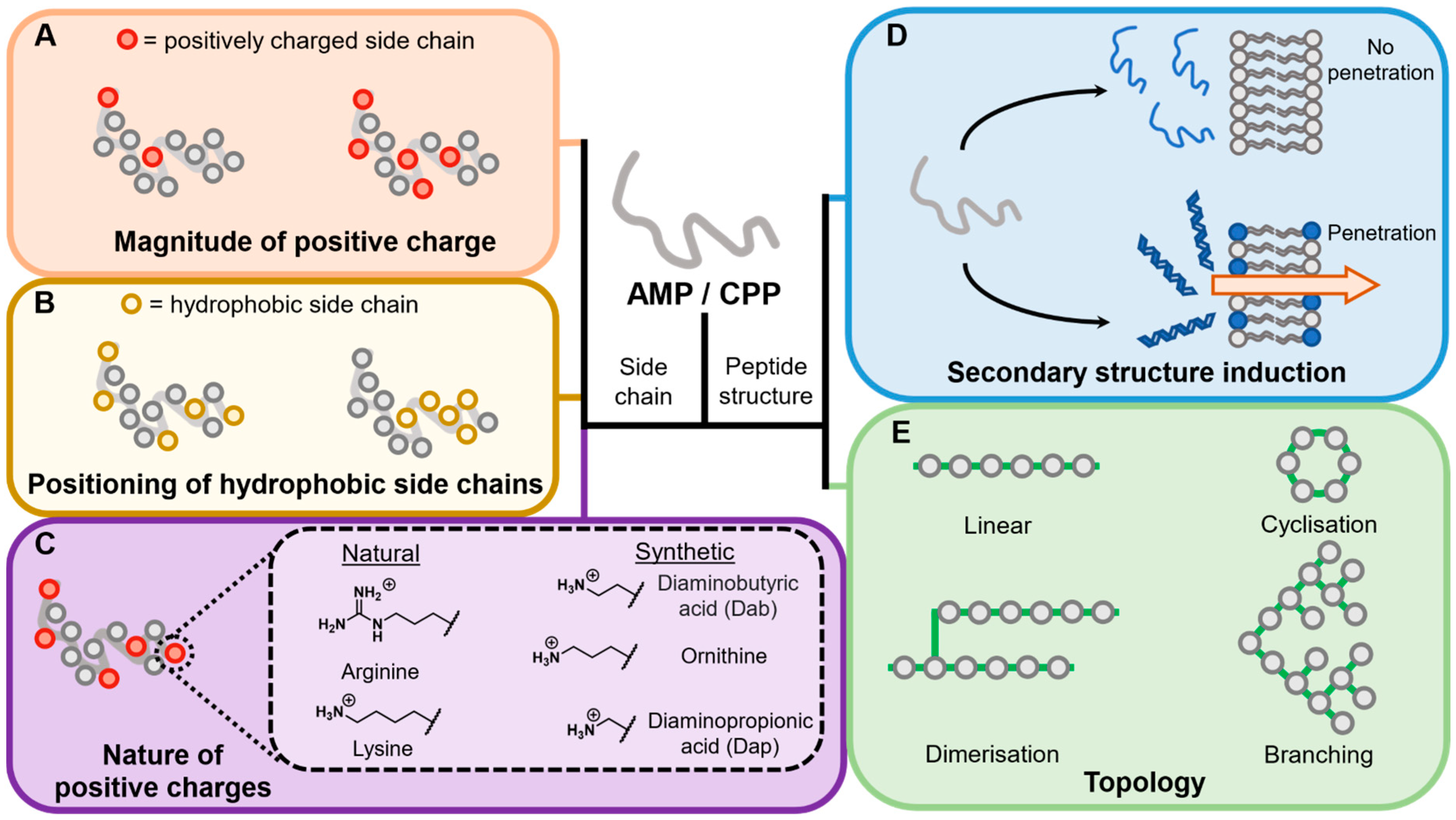 Antibiotics 11 01636 g003