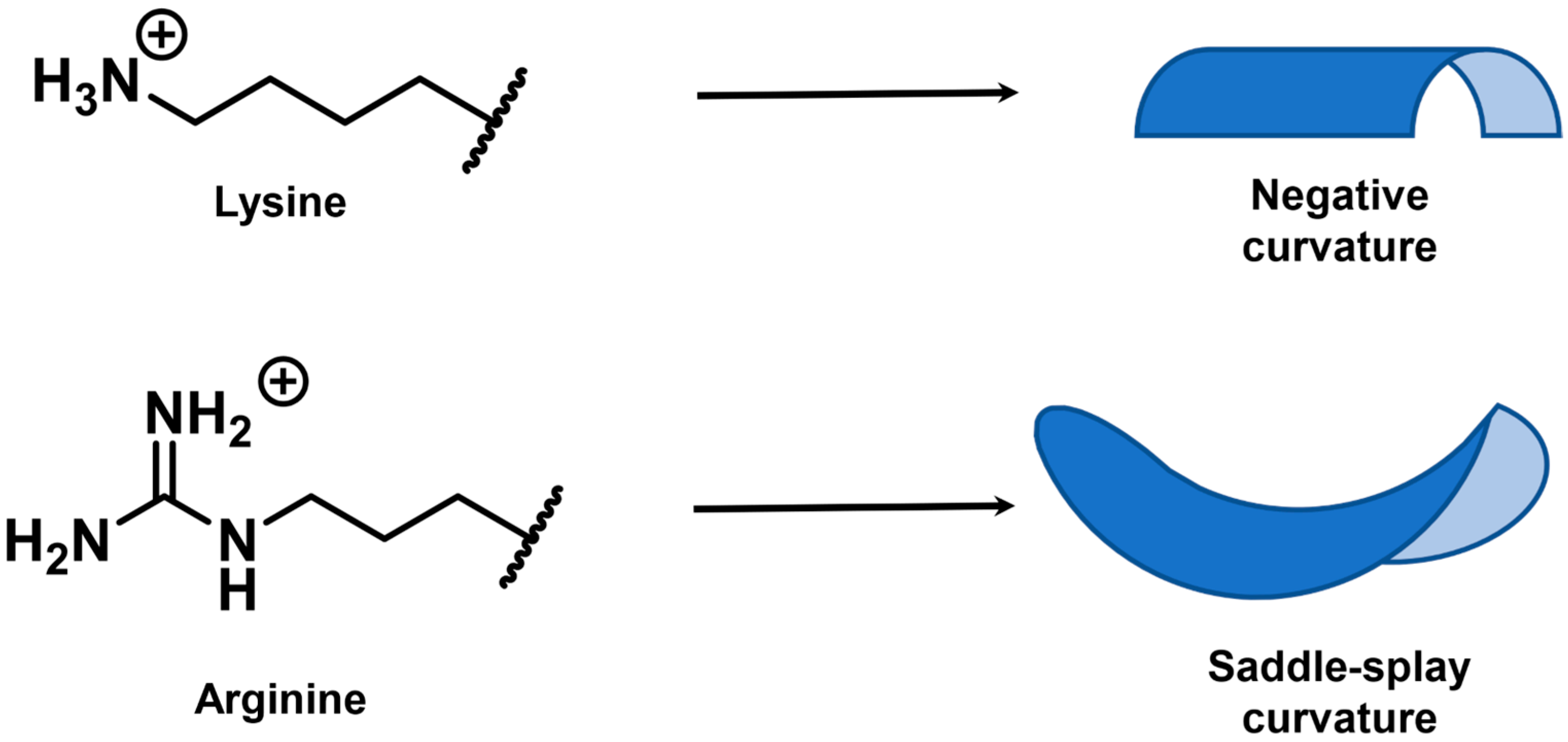Antibiotics 11 01636 g004