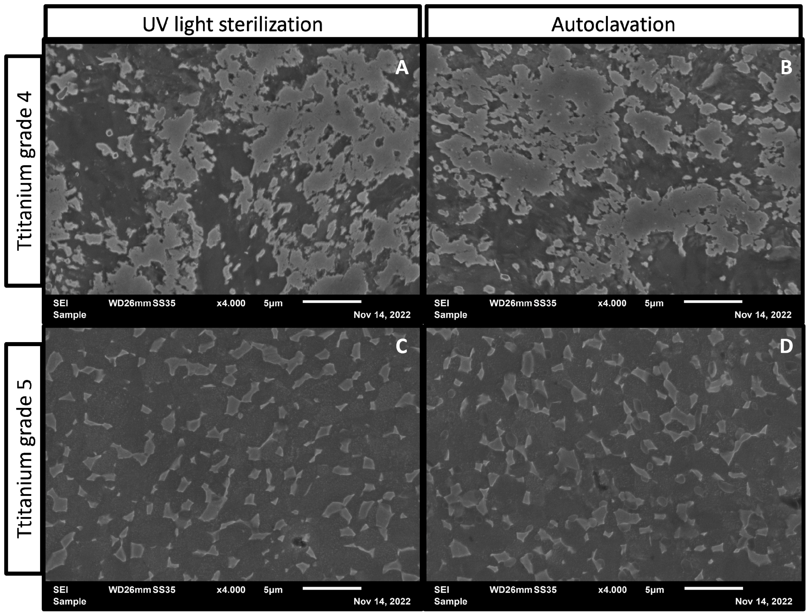Antibiotics 11 01647 g003
