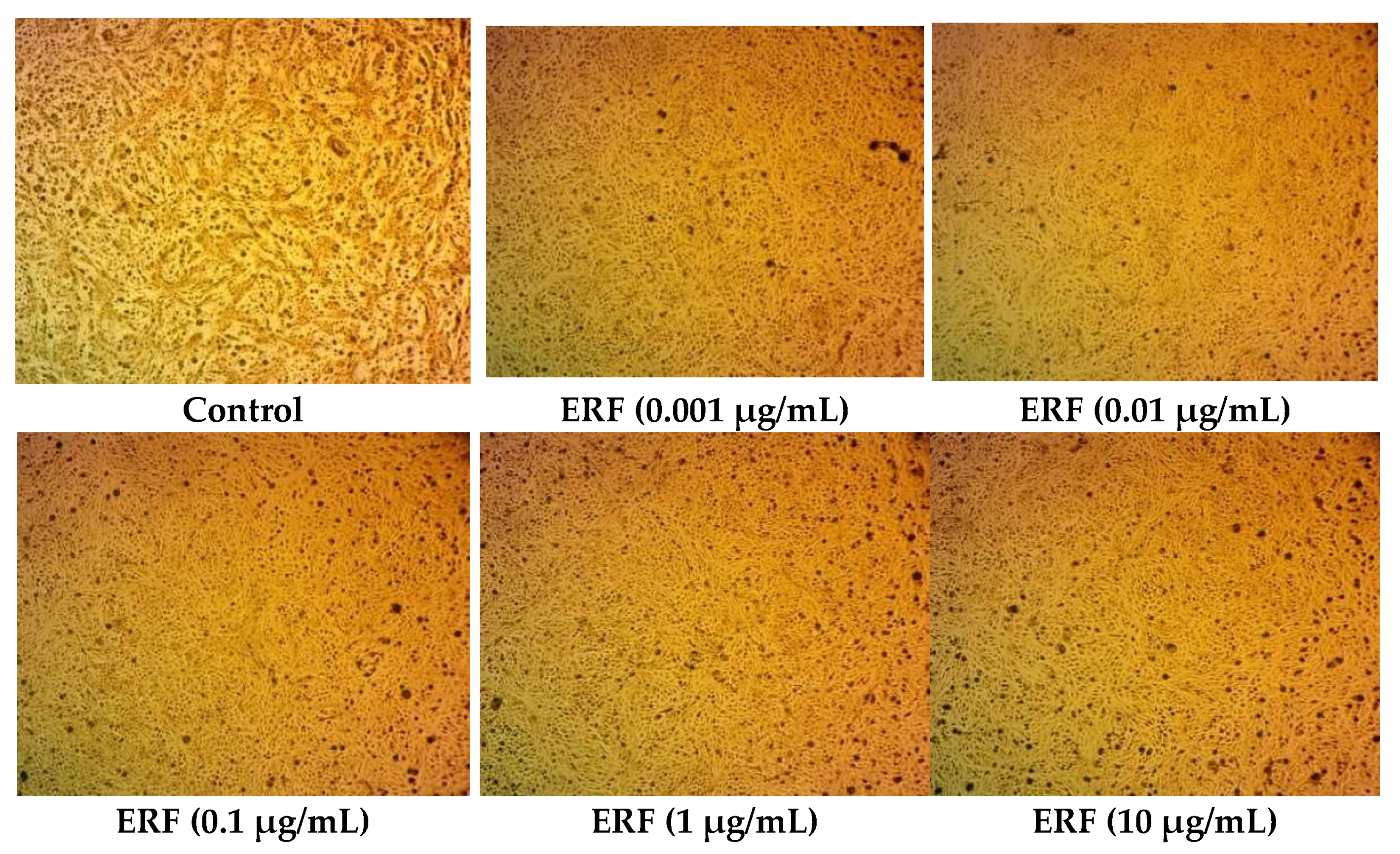 Antibiotics 11 01652 g007a