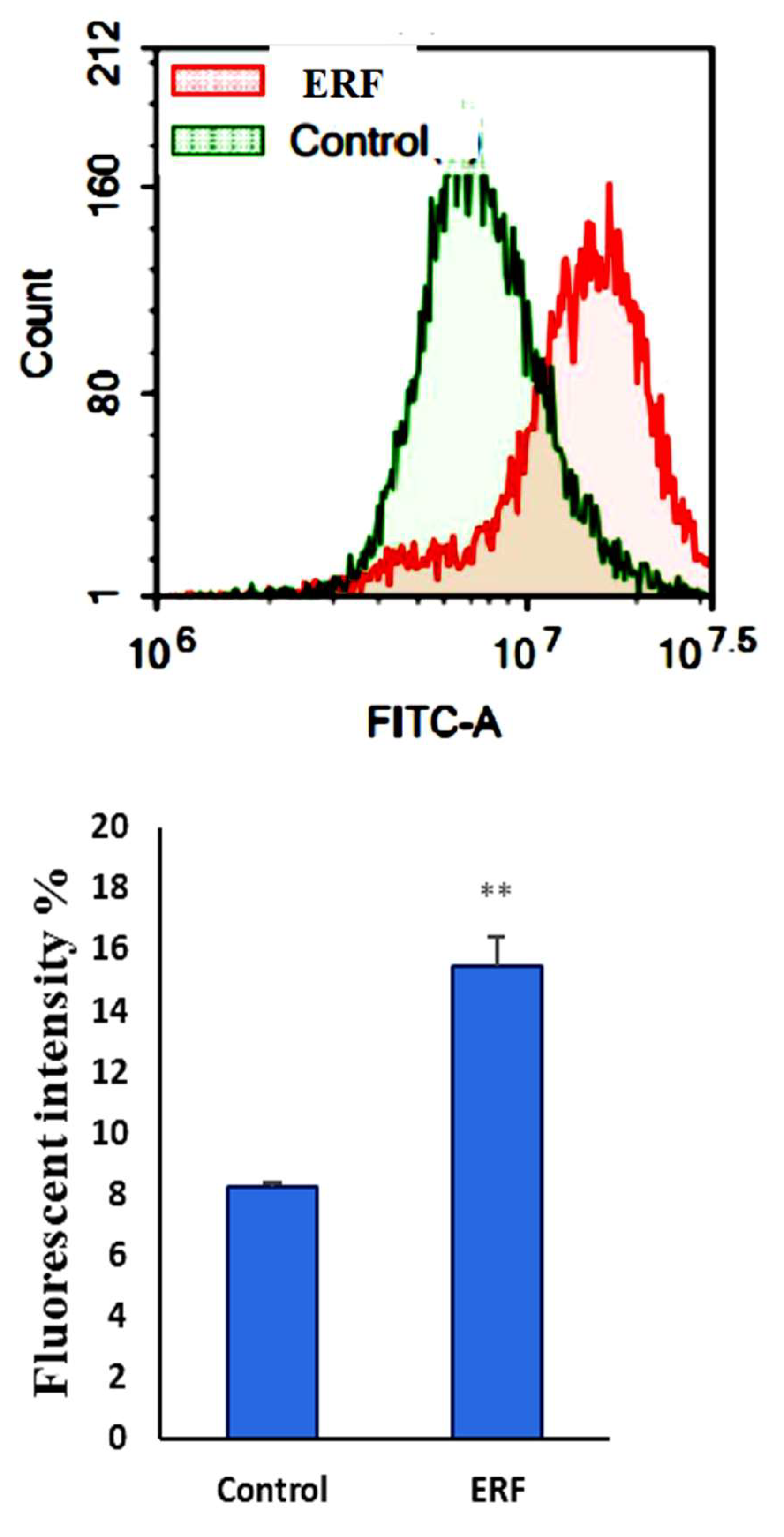 Antibiotics 11 01652 g010